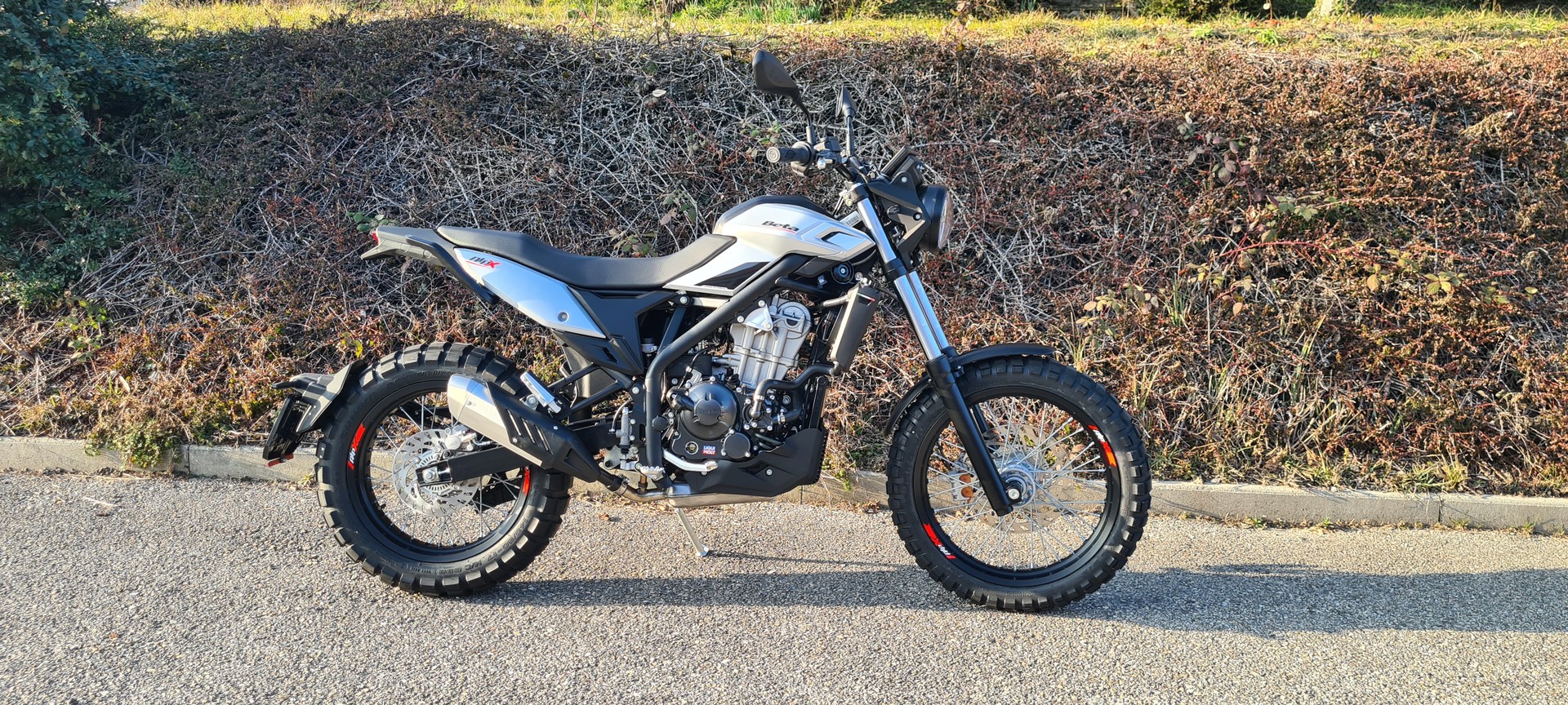 BETA Alp X-image-1