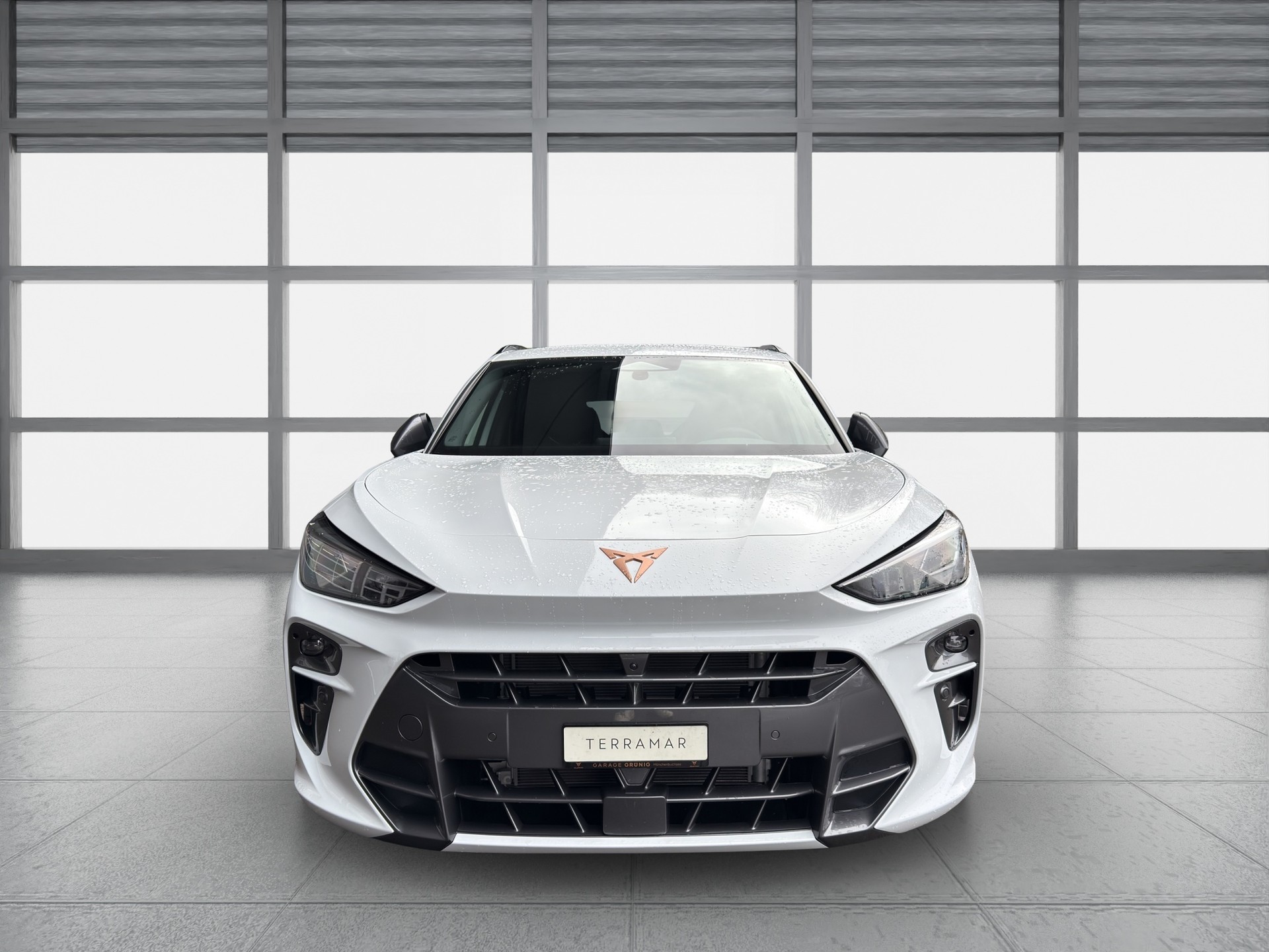 CUPRA Terramar 1.5 eHybrid DSG VZ-image-0