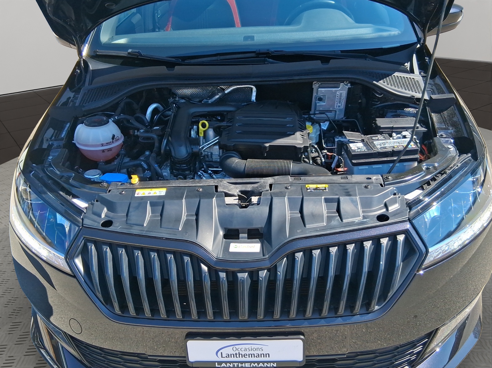 SKODA Fabia 1.0 TSI Monte Carlo-image-19