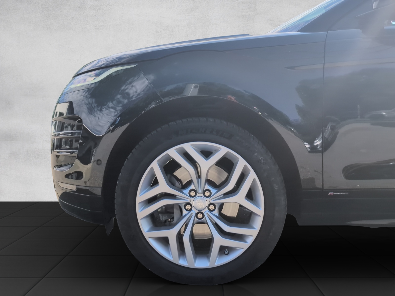 LAND ROVER Range Rover Evoque P 250 SE AT9-image-15