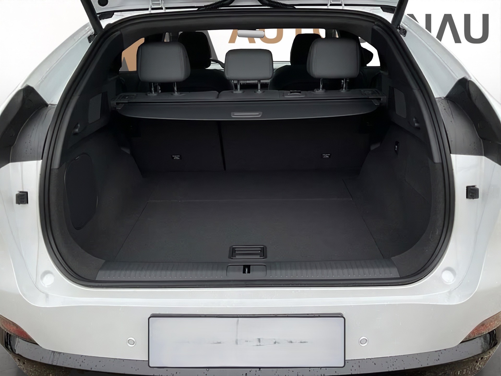 XPENG G6 Performance AWD-image-10