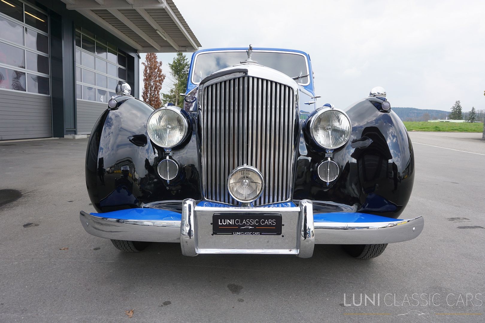 BENTLEY Mark VI-image-5