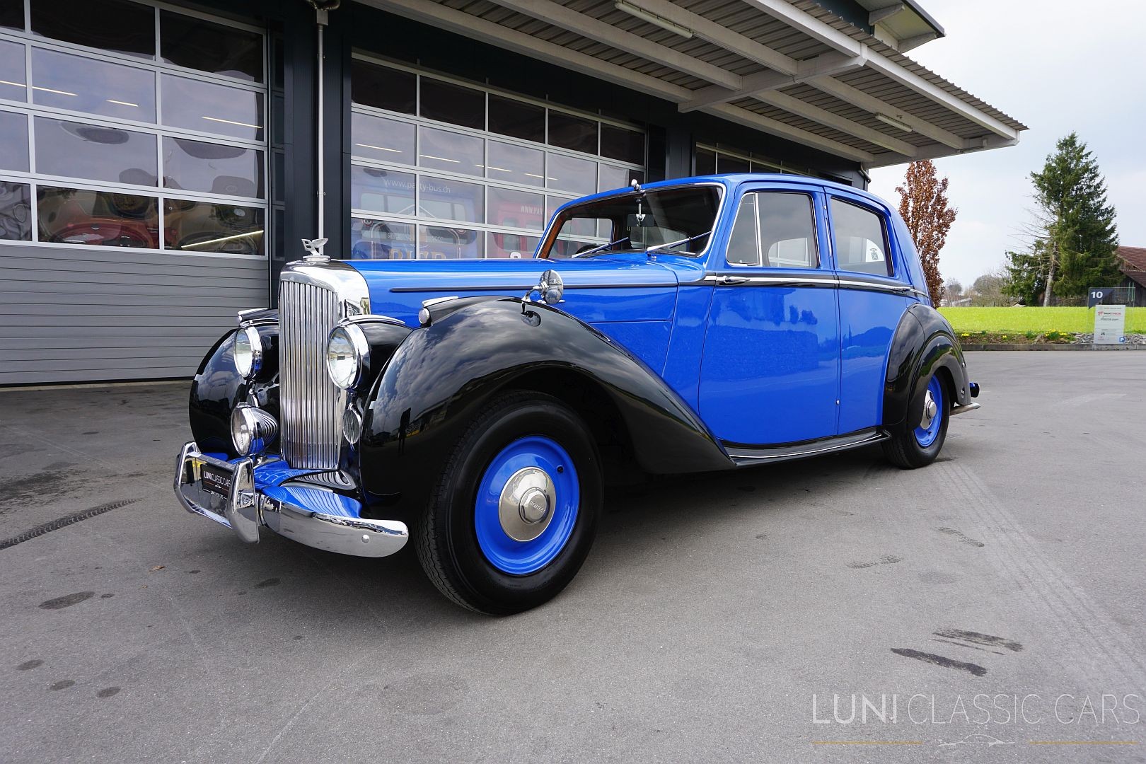 BENTLEY Mark VI