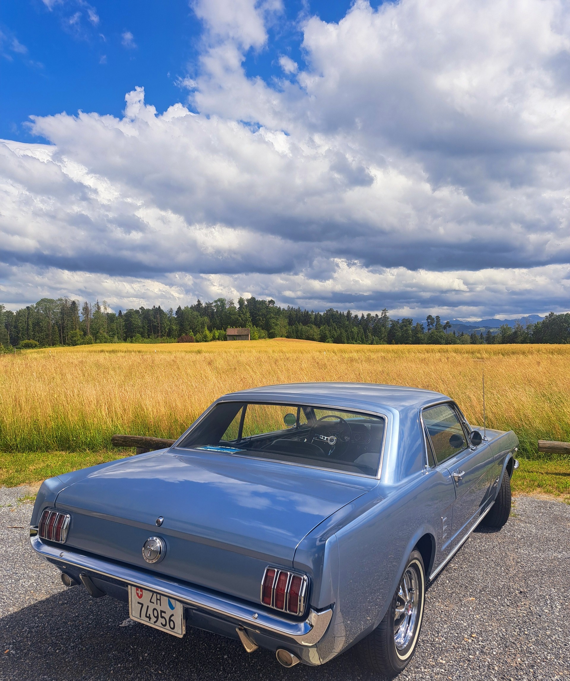FORD Mustang 66 - Veteran-image-2