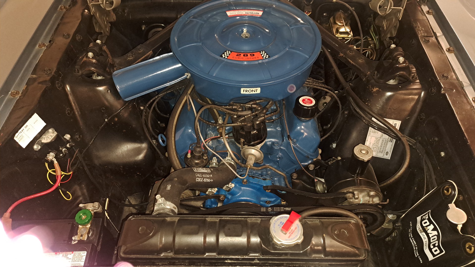 FORD Mustang 66 - Veteran-image-5