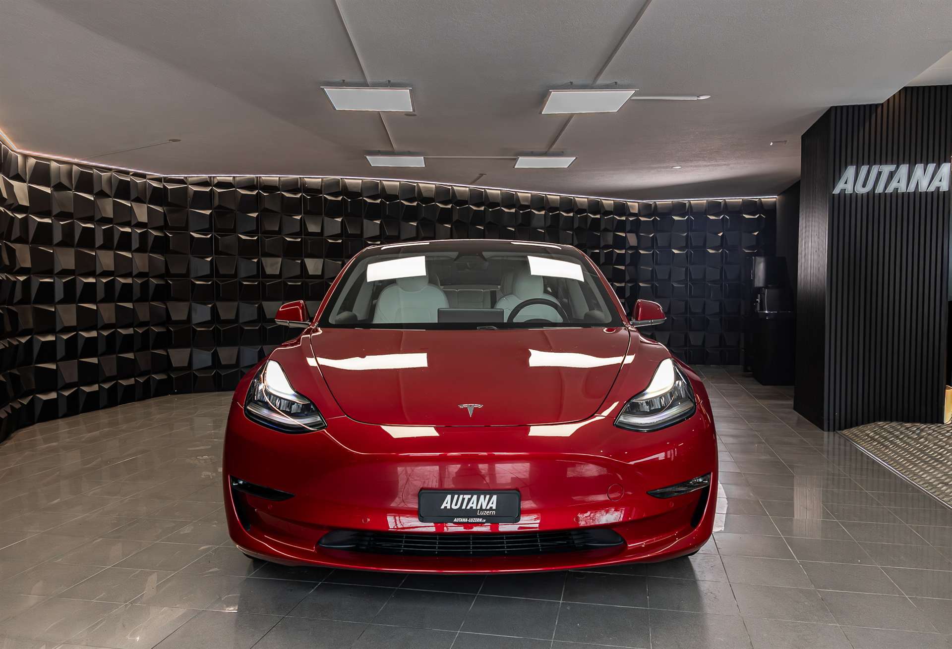 TESLA Model 3 Performance Dual Motor AWD-image-3