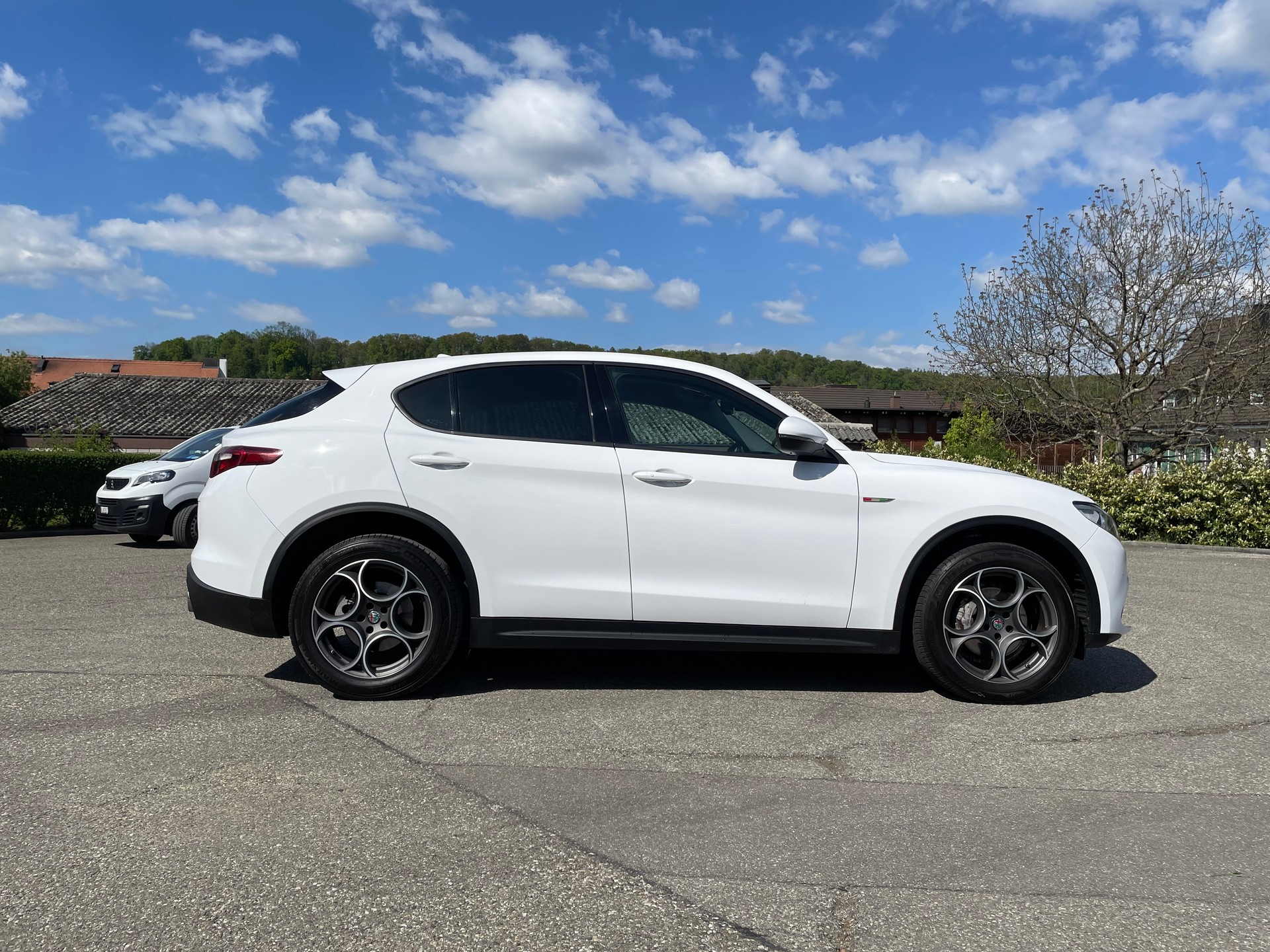 ALFA ROMEO Stelvio 2.0 Super Q4 Automatic, Frisch ab MFK 05.2026-image-5