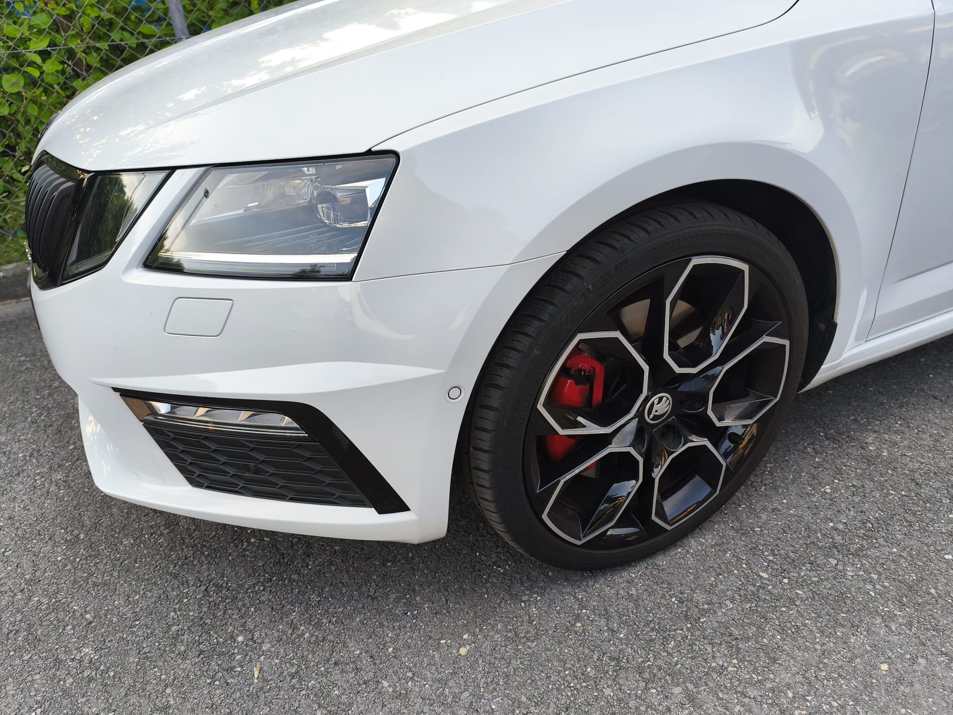 SKODA 2.0 TSI 245 RS DSG-image-6