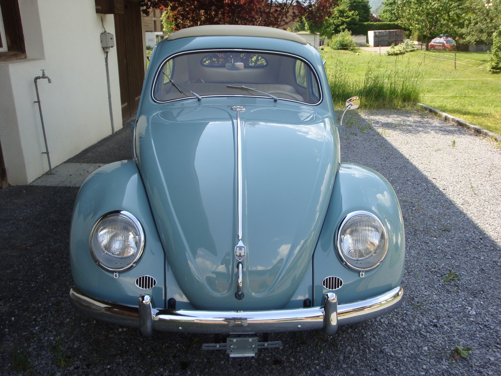 VW Käfer-image-0