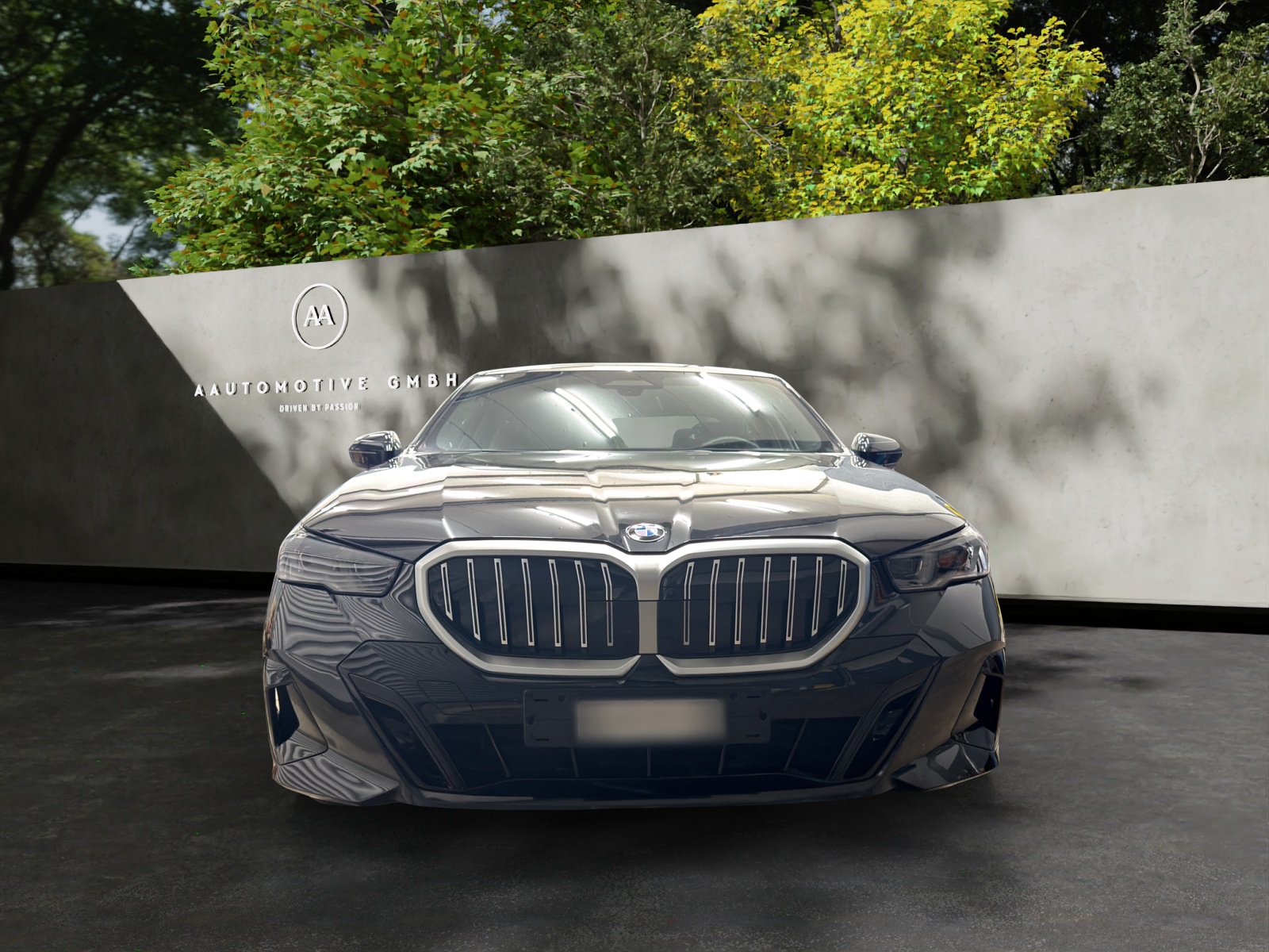 BMW BMW 540d xDrive 48V M Sport Steptronic-showroom-element-1