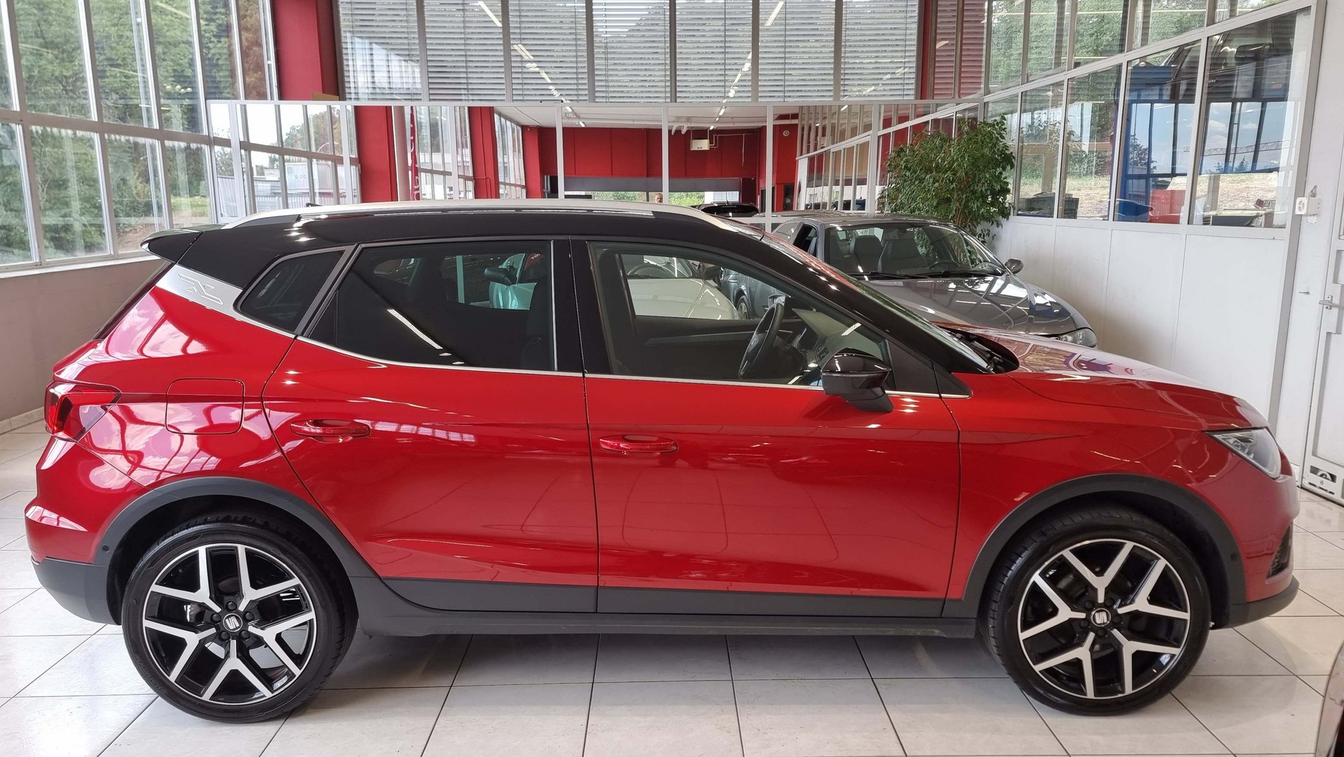 SEAT Arona 1.0 TSI 115 FR DSG-image-5