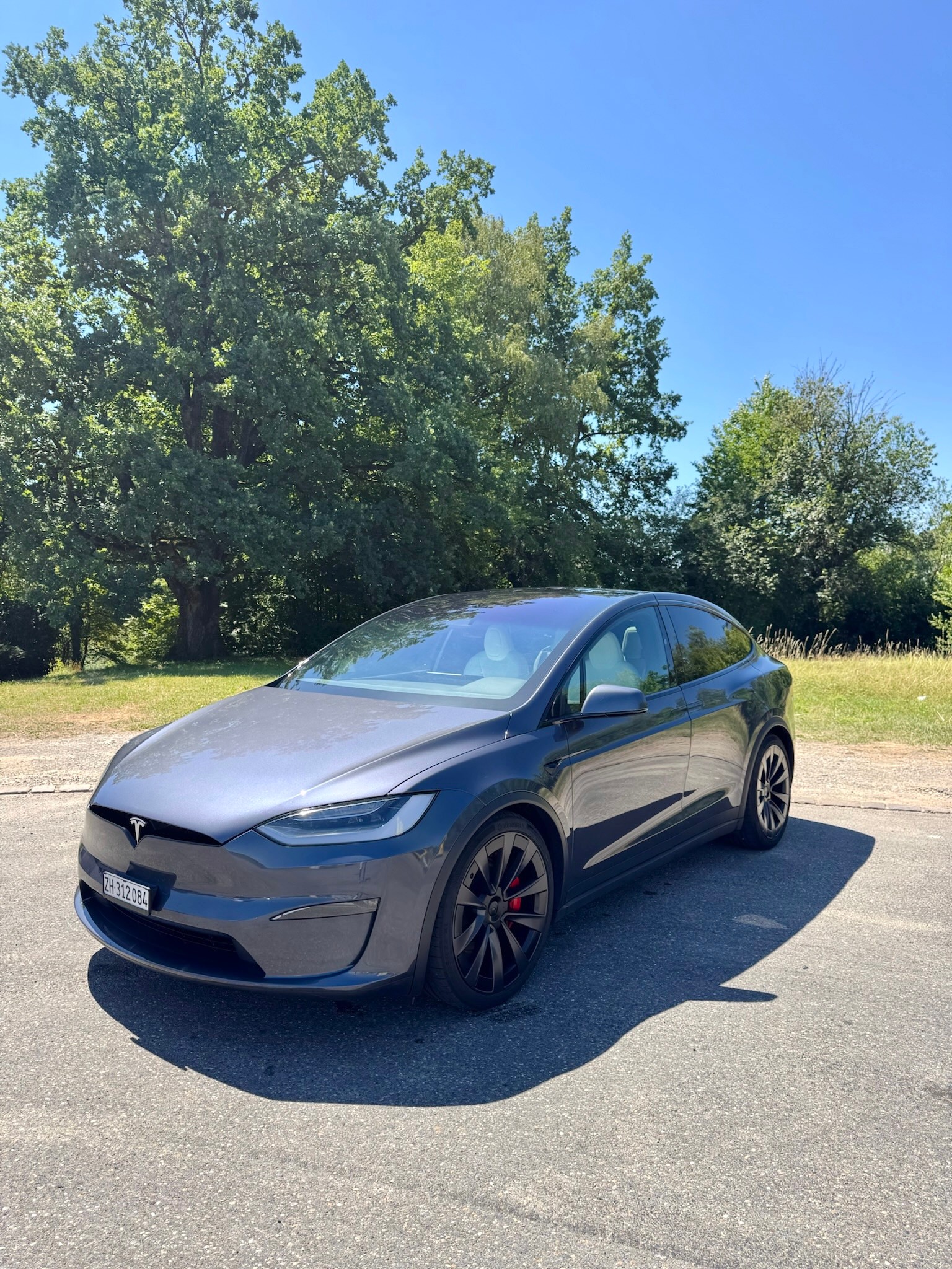 TESLA Model X 100kWh Plaid | teslify.ch-image-1
