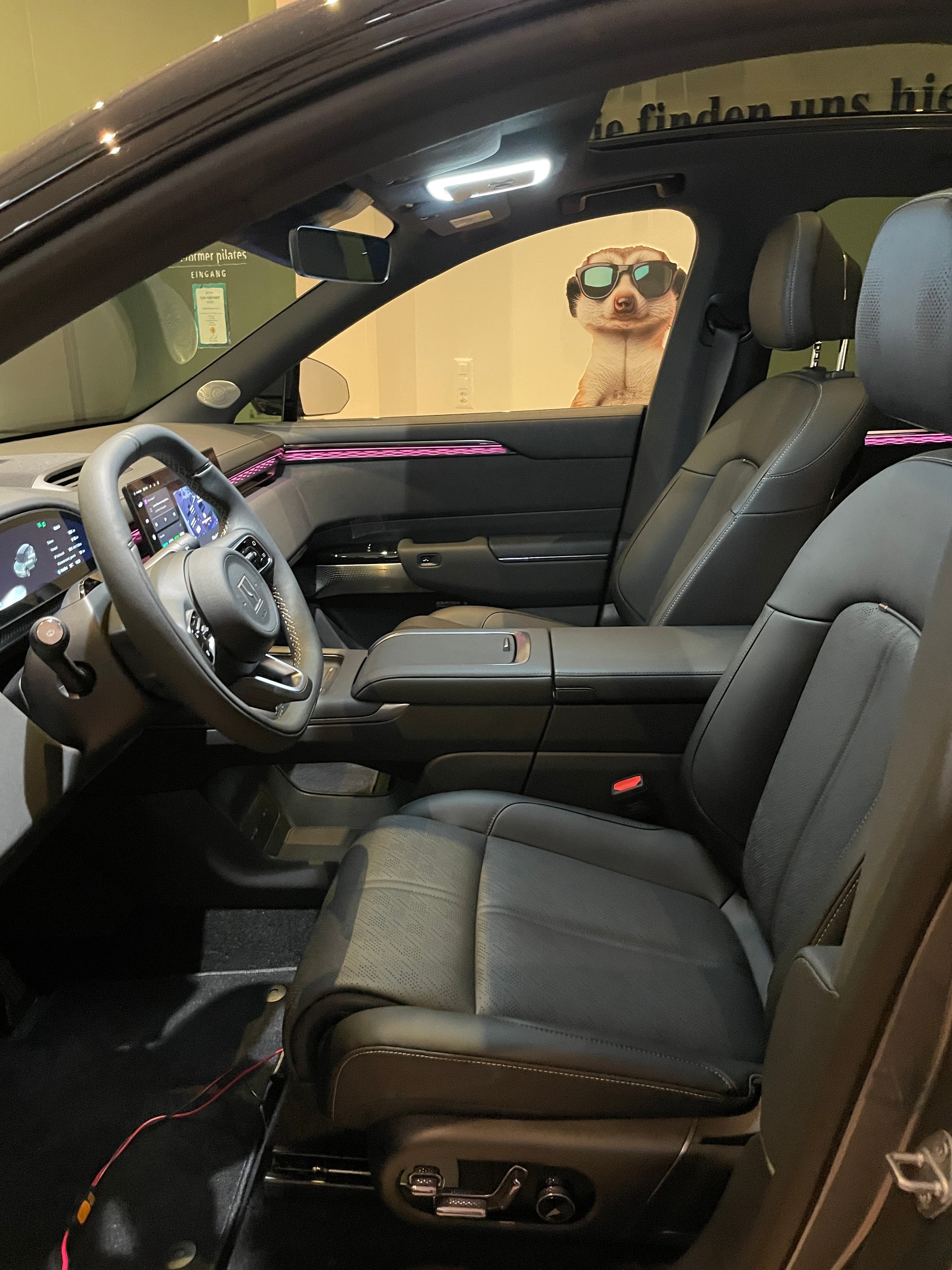 ZEEKR 7X 100kWh Privilege AWD mit Comfort und Cockpitpaket, Modell 2026-image-10