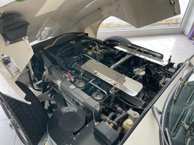 JAGUAR E TYPE 3-V12-image-12