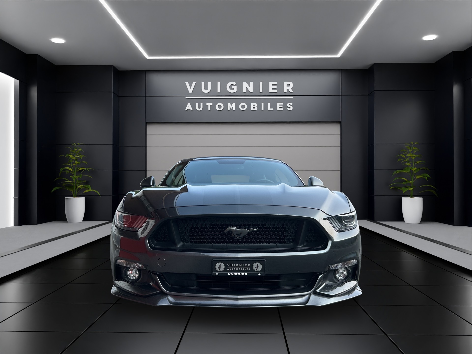FORD Mustang Convertible 5.0 V8 GT Automat-image-7