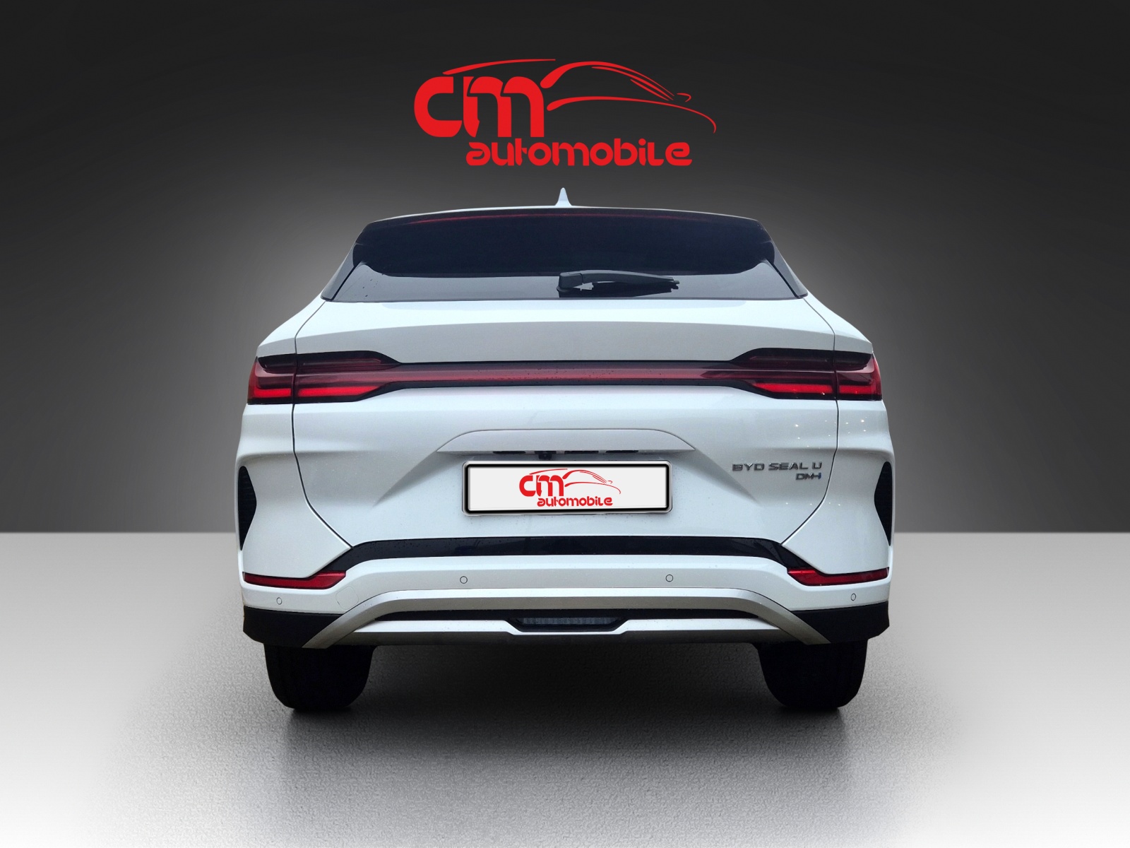 BYD Seal U DM-i Boost-image-3