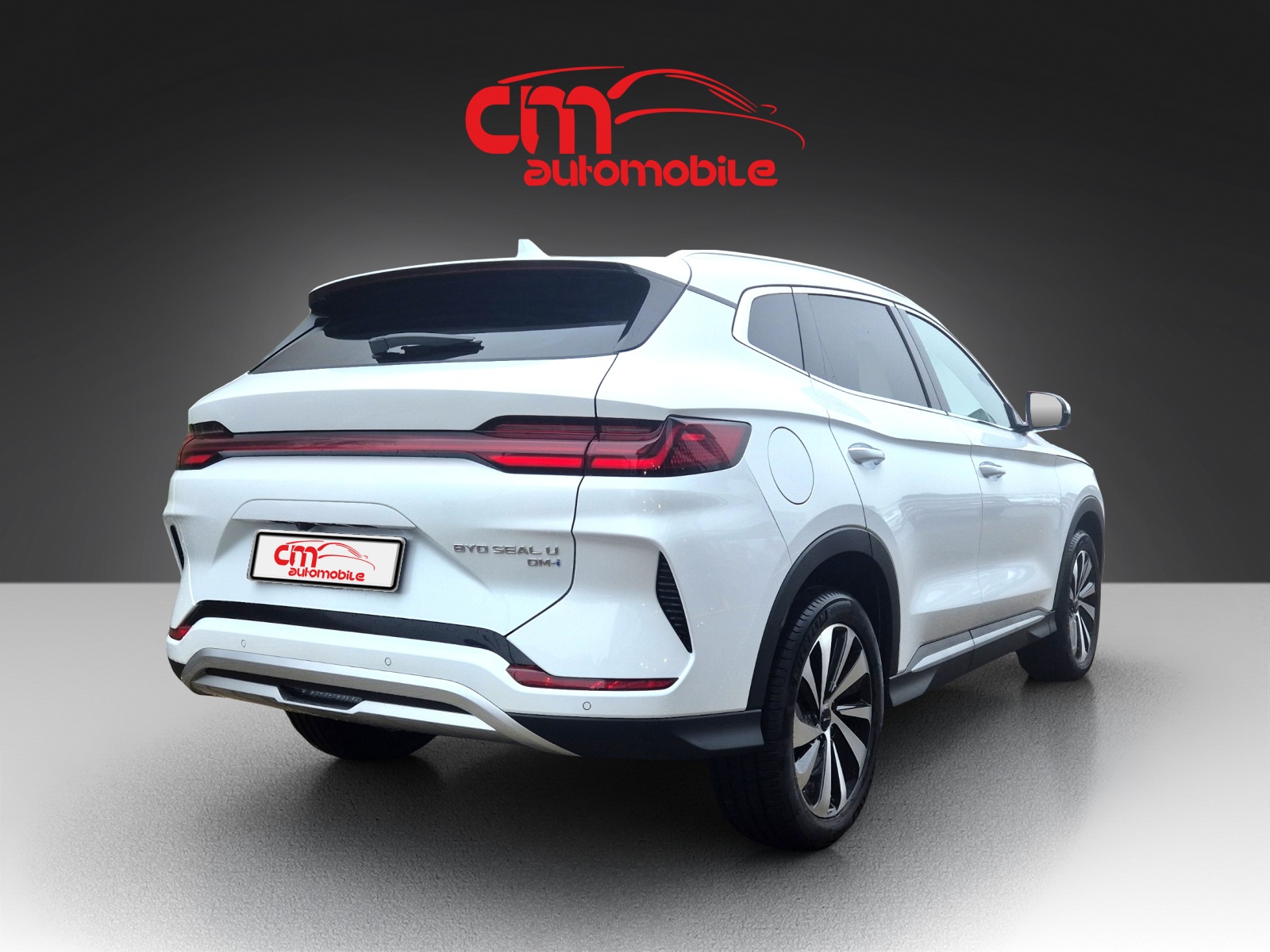 BYD Seal U DM-i Boost-image-6