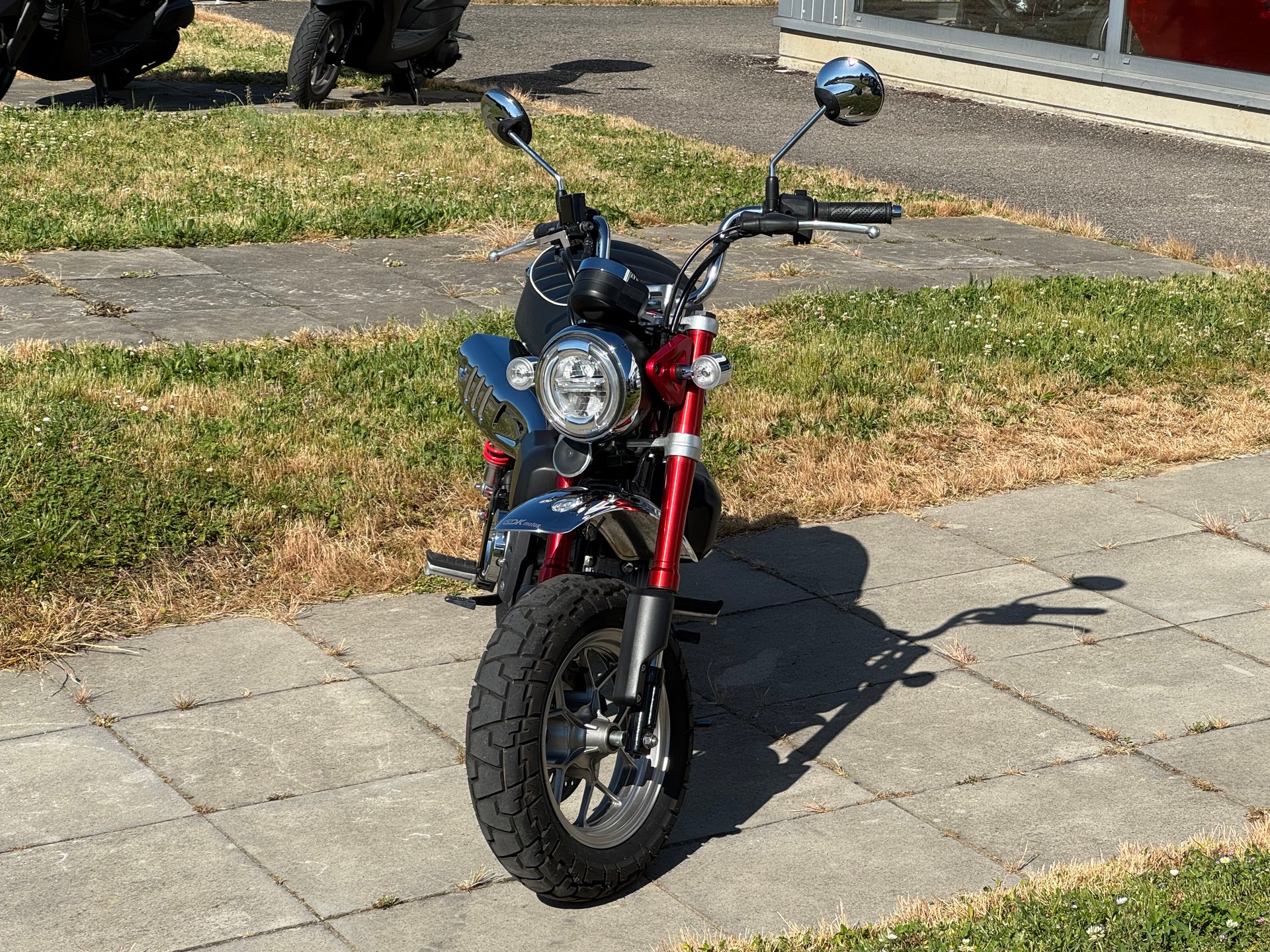 HONDA MONKEY-image-4