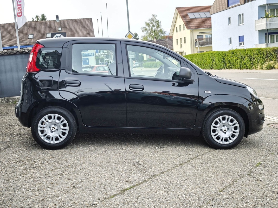 FIAT Pandina 1.0 Hybrid Icon-image-3