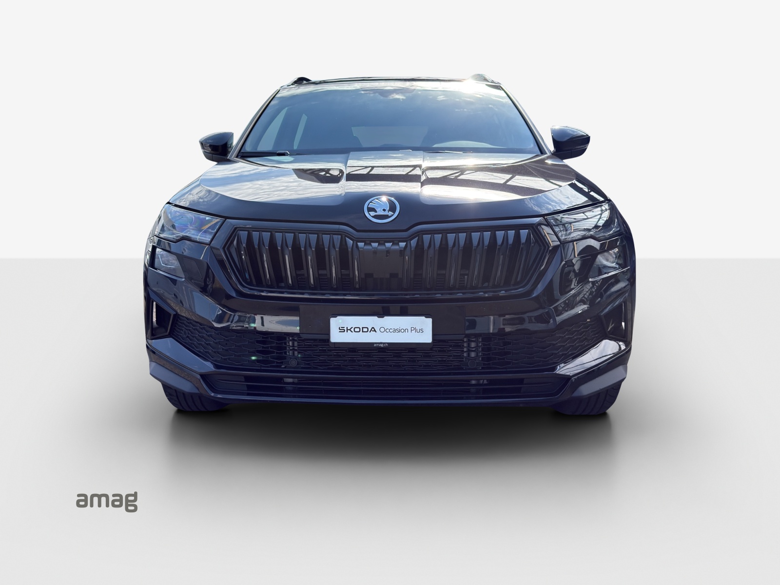 SKODA Karoq 1.5 TSI SportLine DSG-image-6