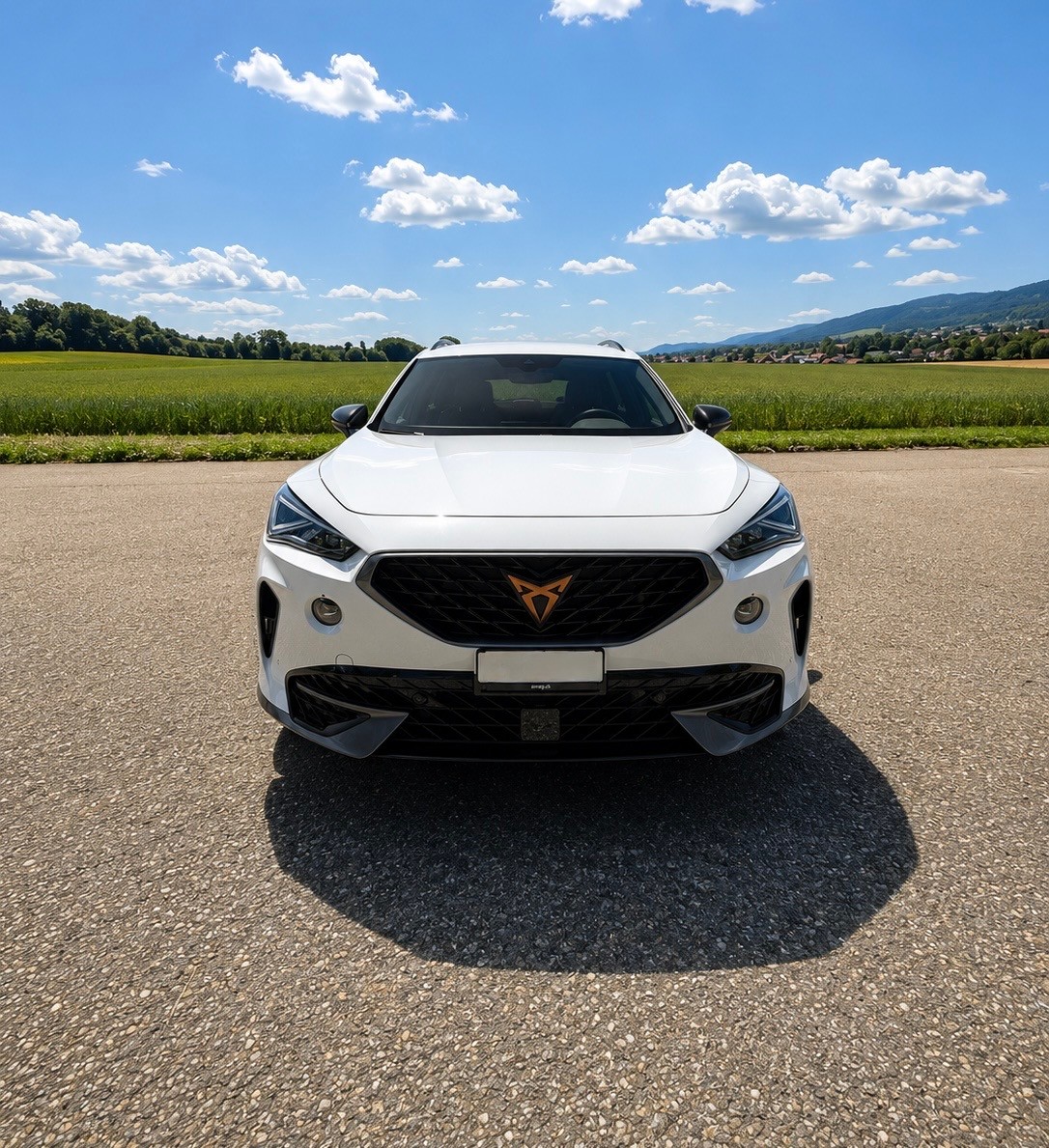 CUPRA Formentor 2.0 TSI Inicio 4Drive DSG-image-1