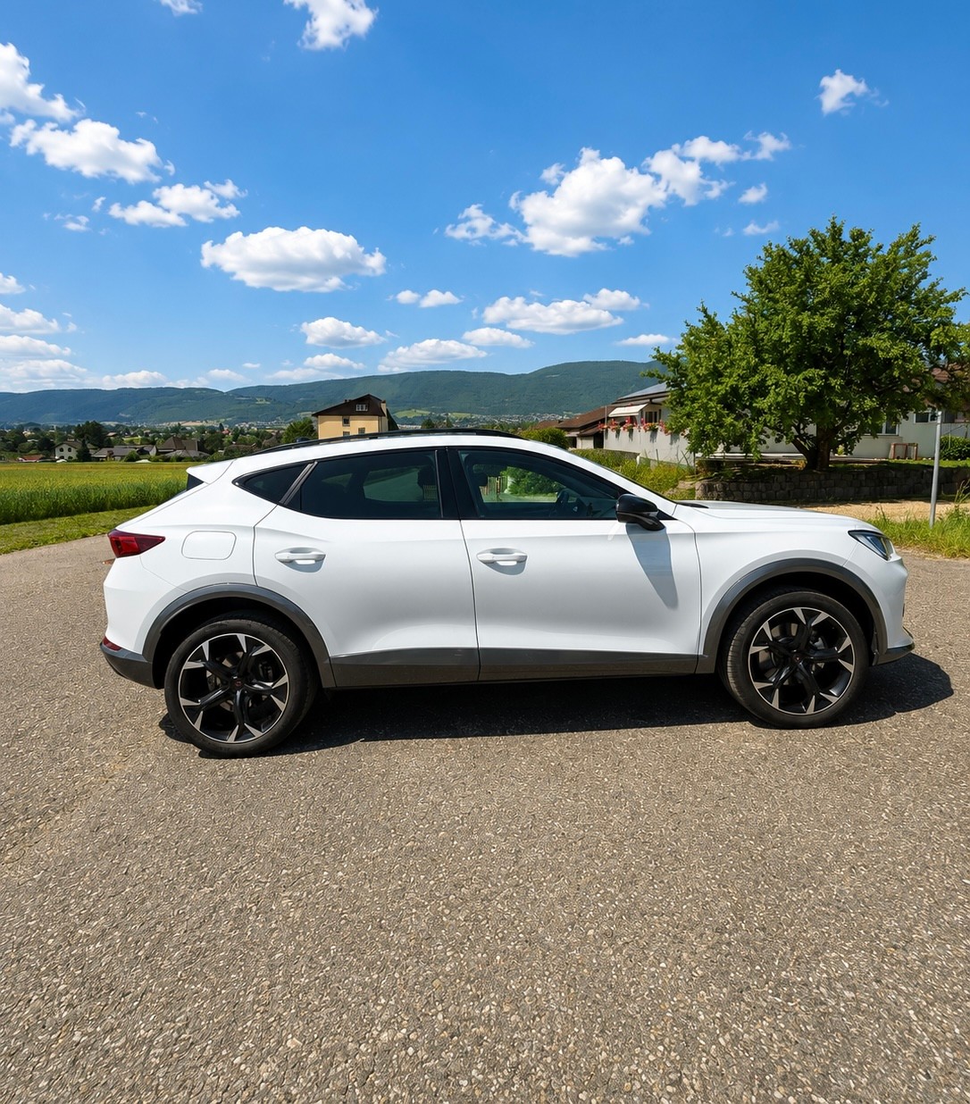 CUPRA Formentor 2.0 TSI Inicio 4Drive DSG-image-3
