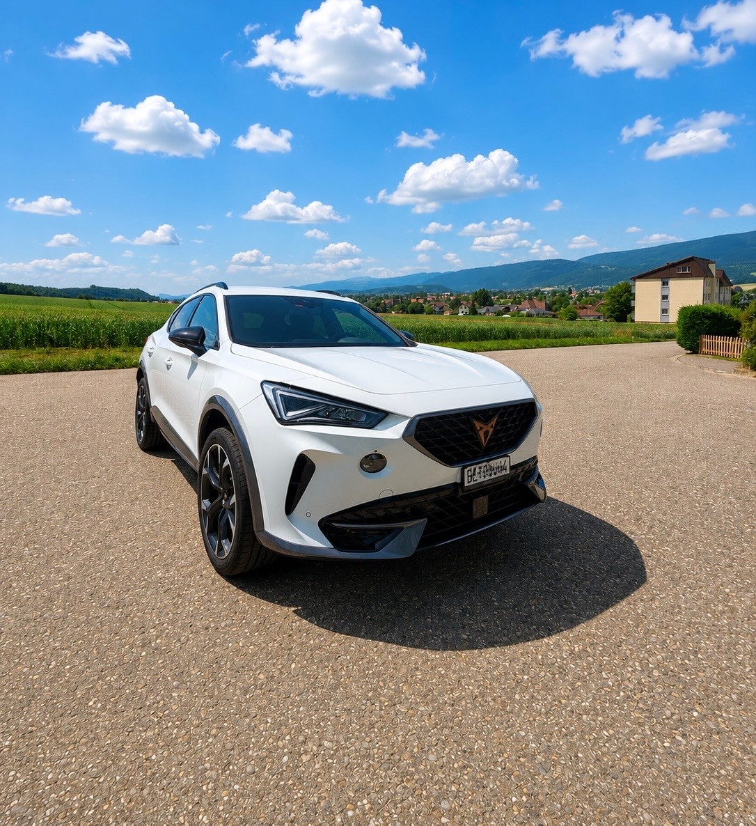 CUPRA Formentor 2.0 TSI Inicio 4Drive DSG-image-2