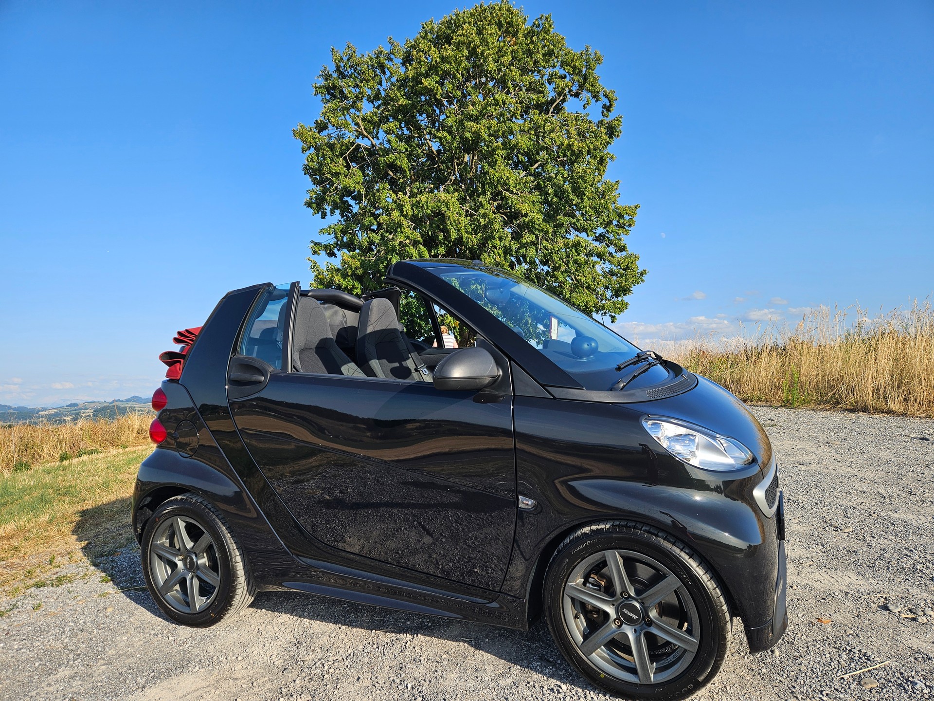 SMART 1000 71 Passion mhd-image-7
