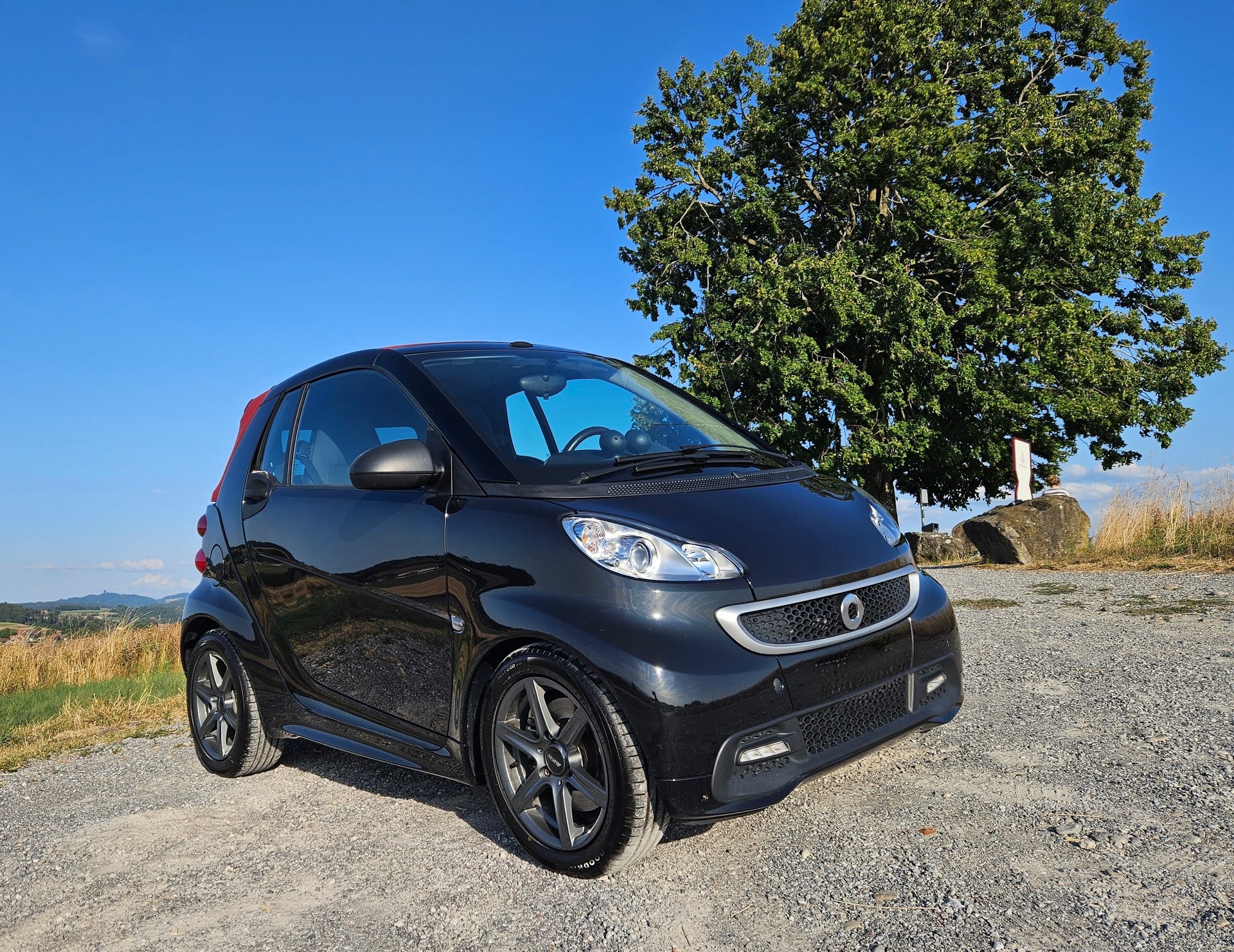 SMART 1000 71 Passion mhd-image-0