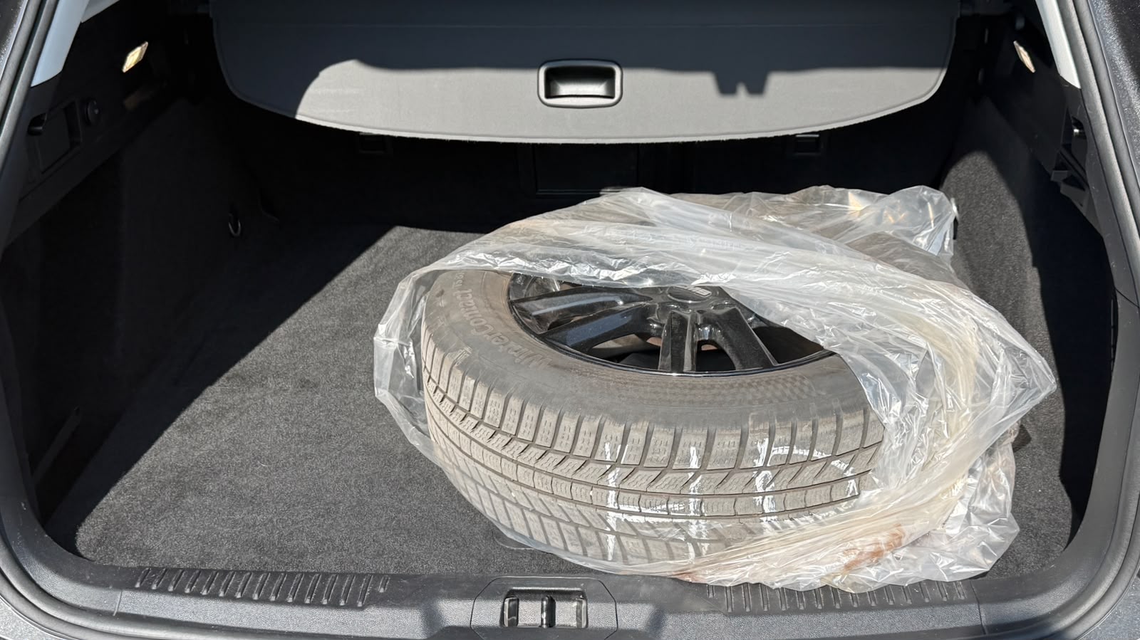 FORD Focus 1.0 MHEV Titanium X Automat-image-9