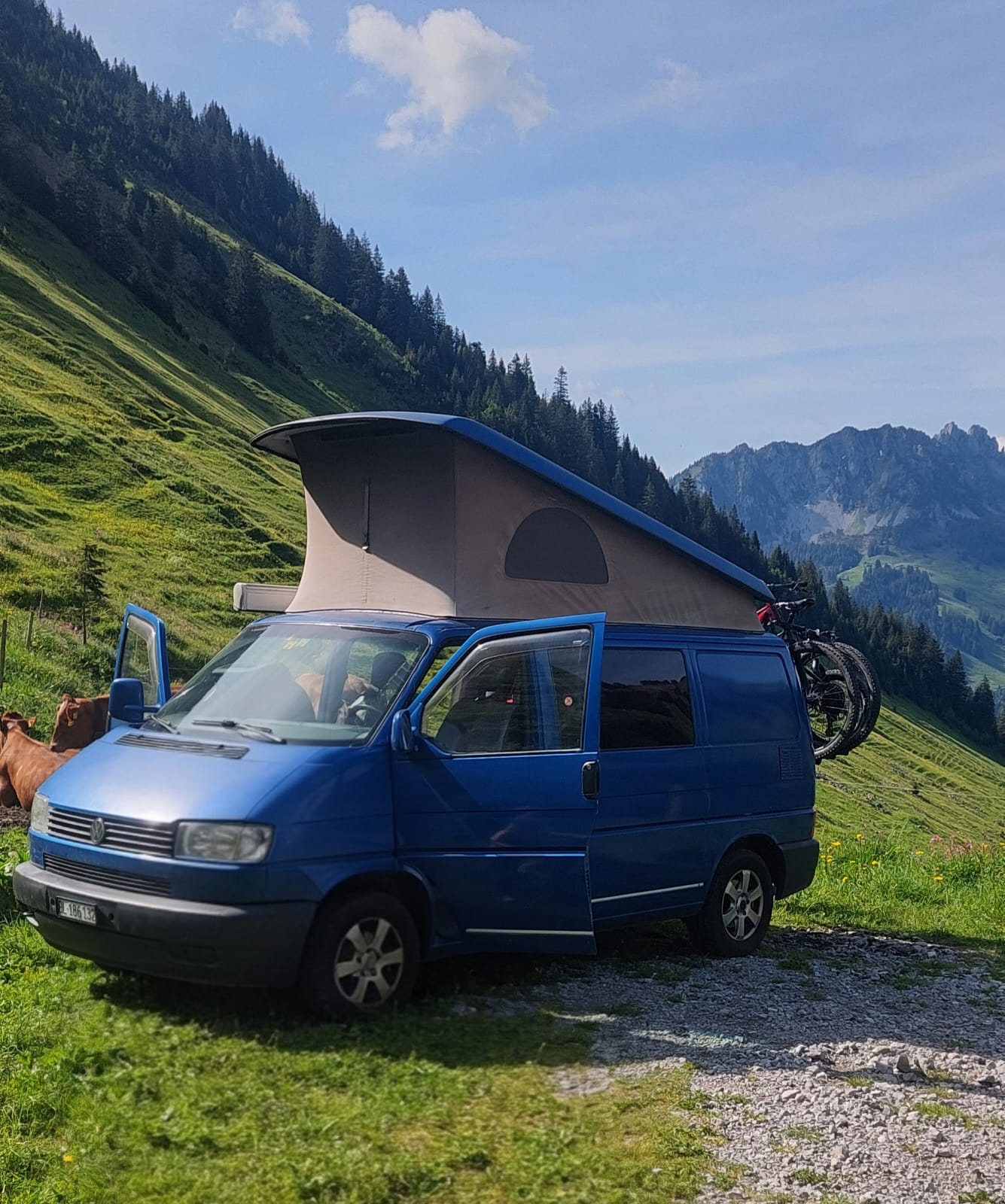VW T4 Camperausbau-image-0