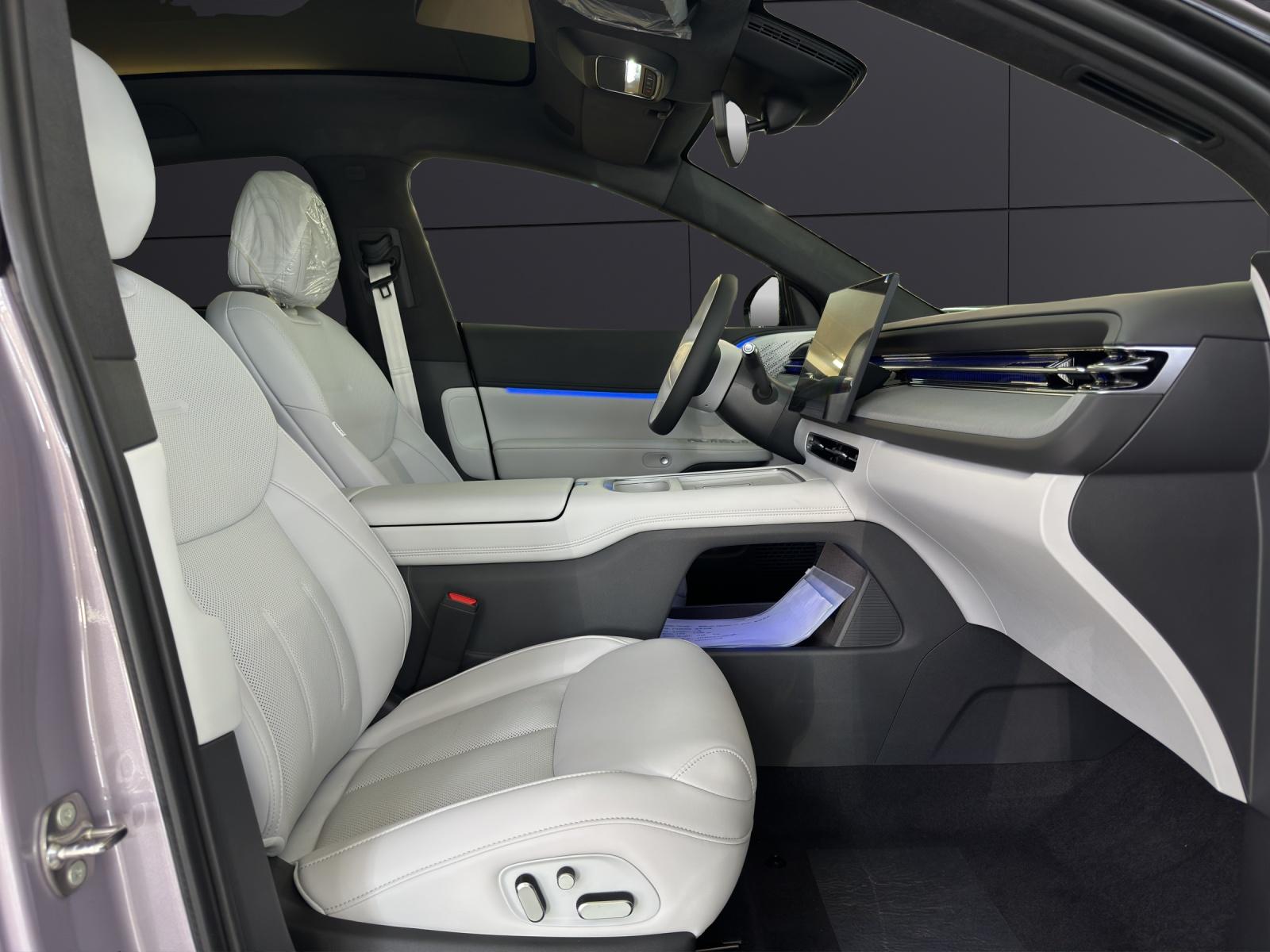XPENG G6 Performance AWD-image-14