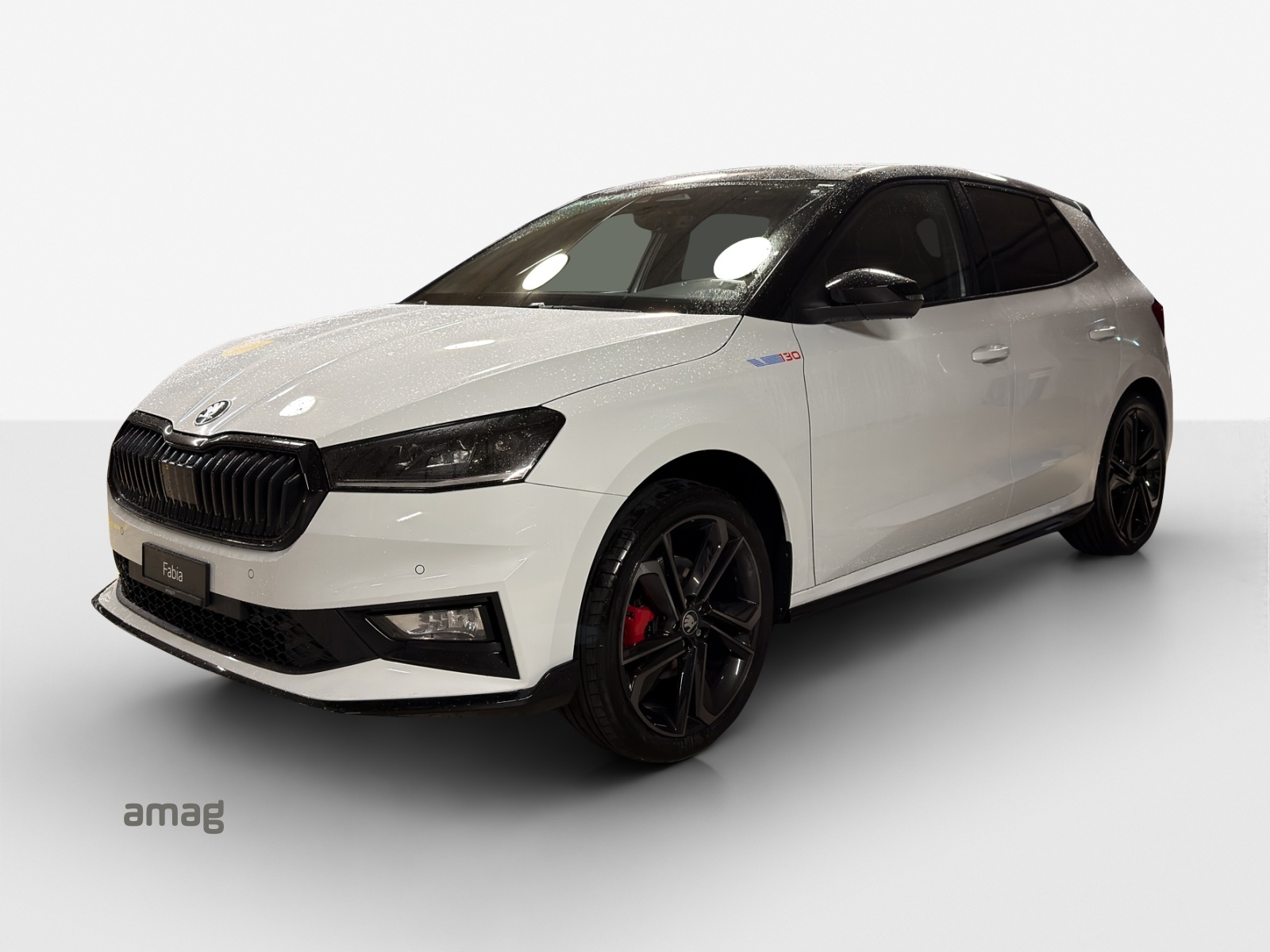 SKODA Fabia 1.5 TSI 130 DSG-image-0