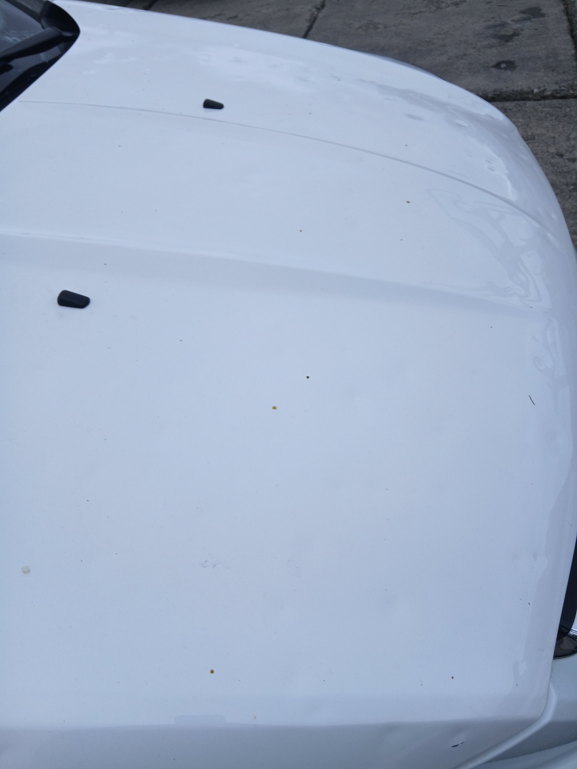 FORD Kuga 2.0 TDCi Titanium 4WD PowerShift-image-12