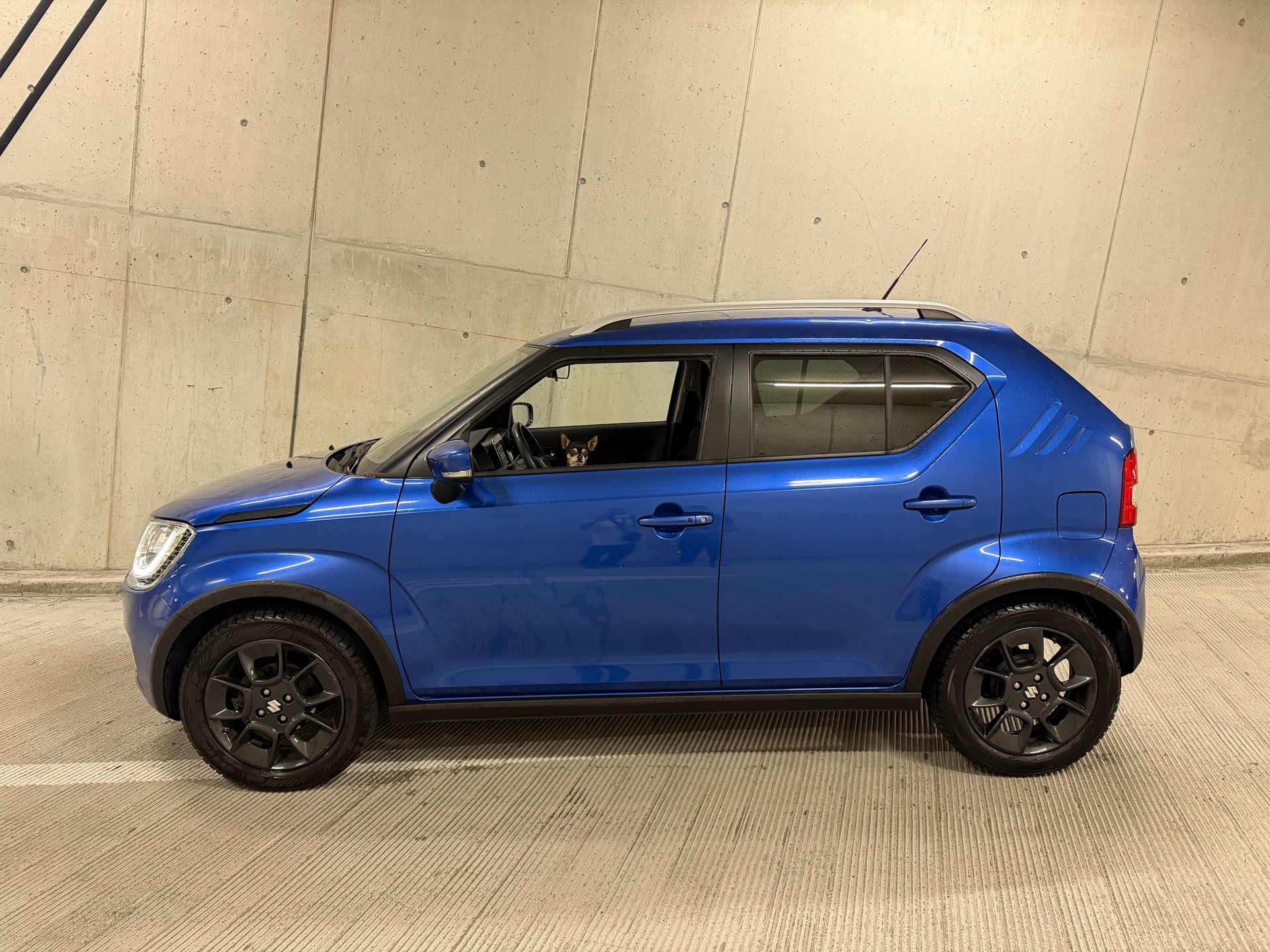 SUZUKI 1.2 Compact Top 4x4-image-1