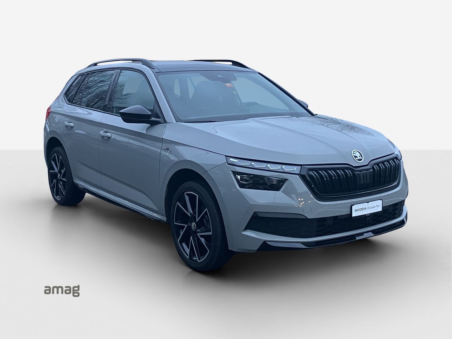 SKODA Kamiq 1.5 TSI ACT Monte Carlo DSG-image-5