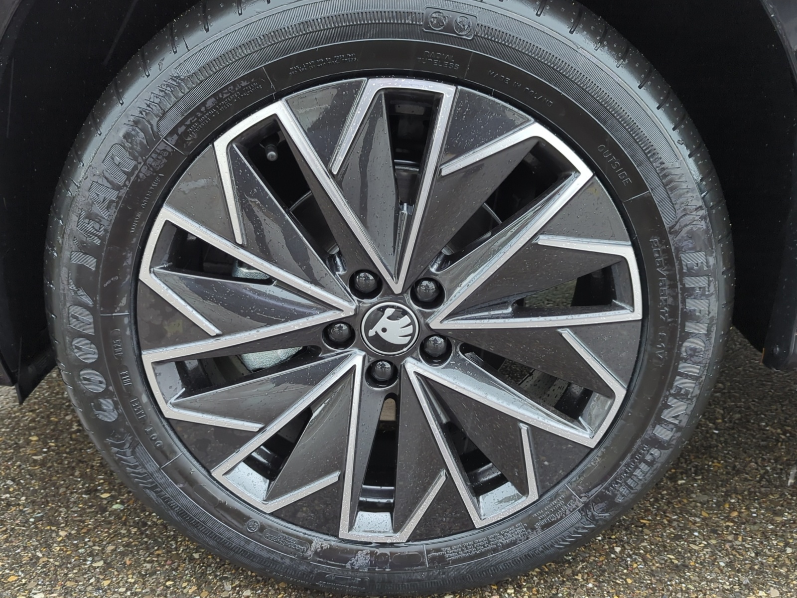 SKODA Kamiq 1.5 TSI Dynamic DSG-image-10