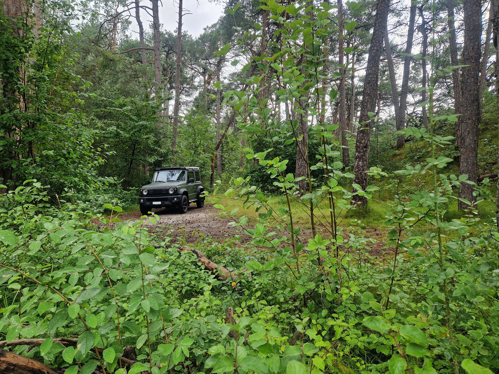 SUZUKI 1.5 Compact Top-image-4