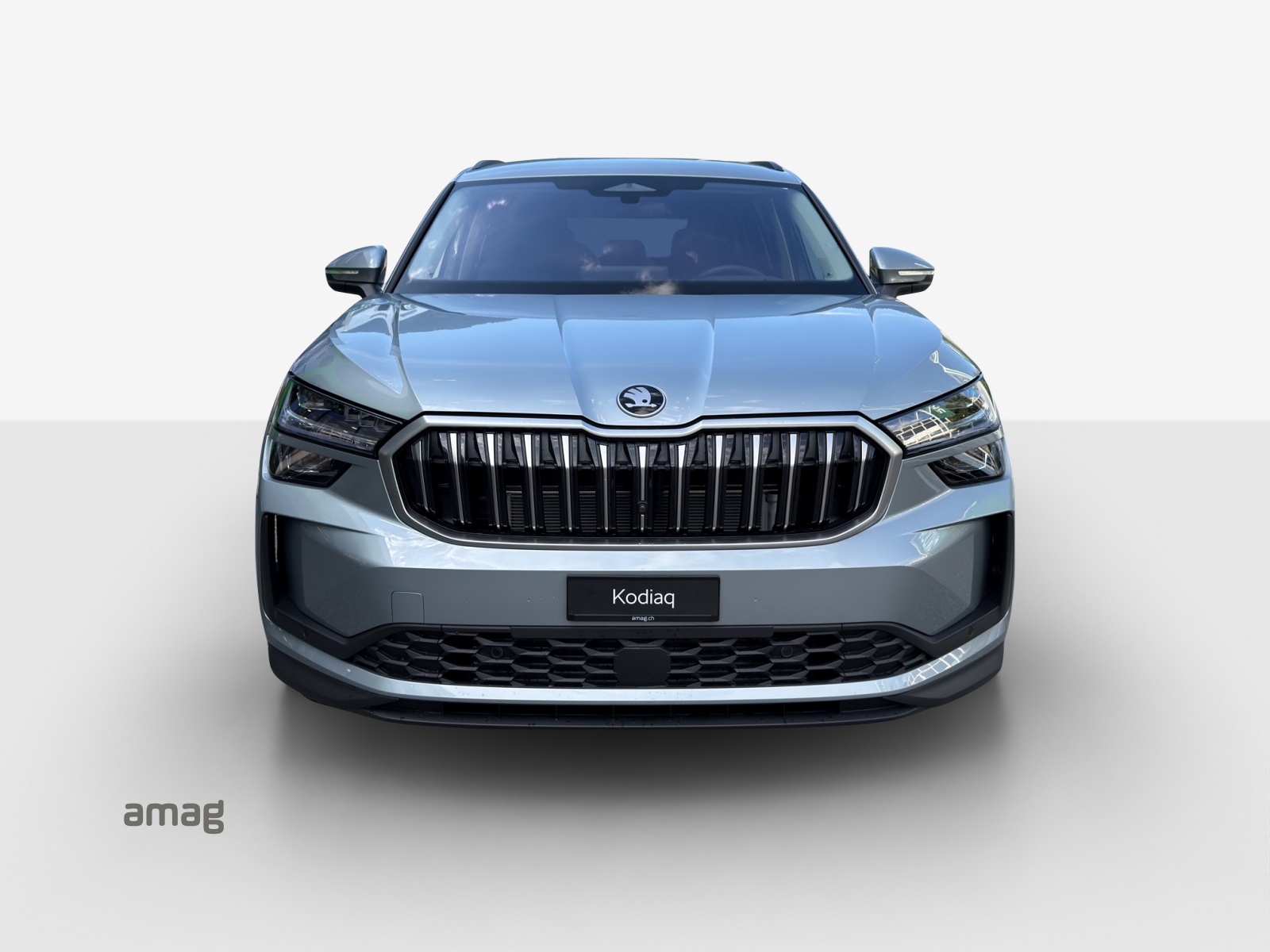 SKODA Kodiaq 2.0 TSI Dynamic 4x4-image-6