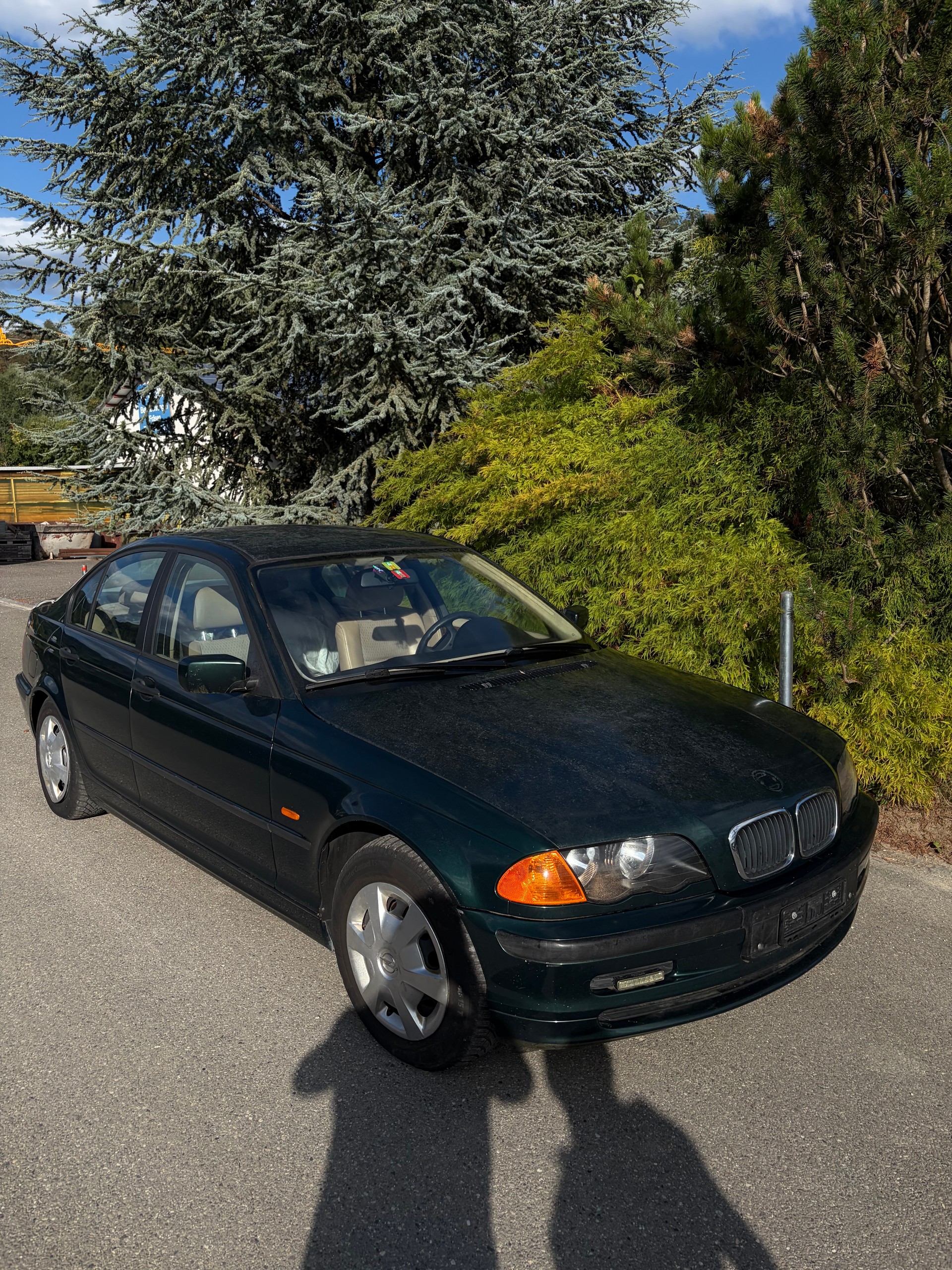 BMW 318i-image-2