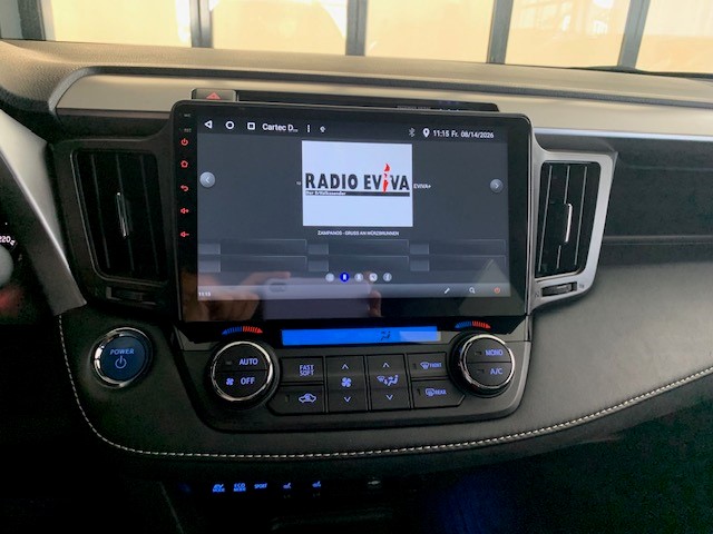 TOYOTA RAV-4 2.5 HSD Sol-image-10