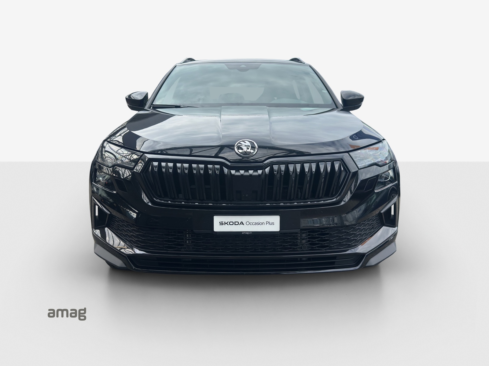 SKODA Karoq 1.5 TSI SportLine DSG-image-6
