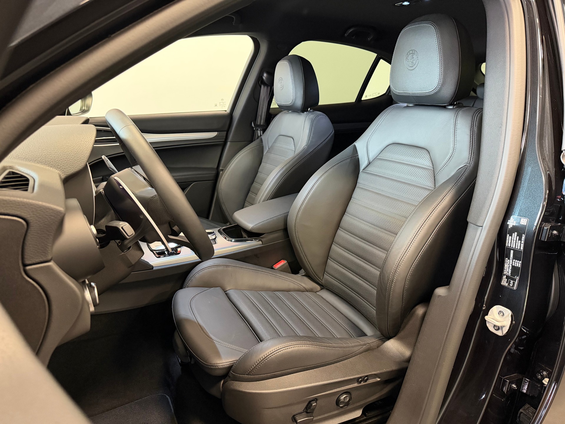 ALFA ROMEO Stelvio 2.2 JTDM Veloce Q4 AT8-image-10
