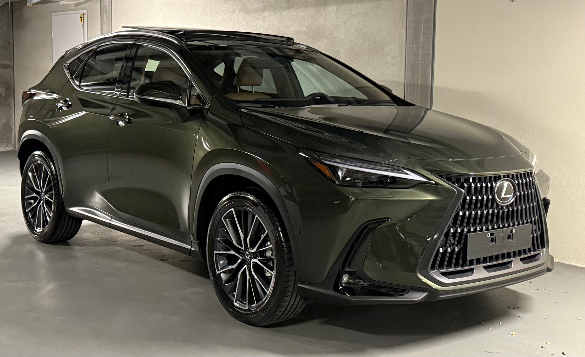LEXUS NX 450h+ E-FOUR Excellence-image-1