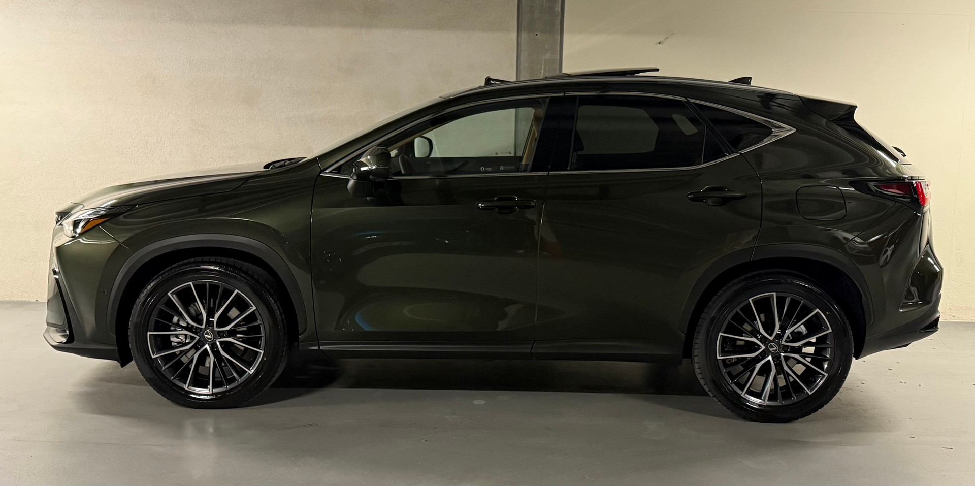 LEXUS NX 450h+ E-FOUR Excellence-image-4