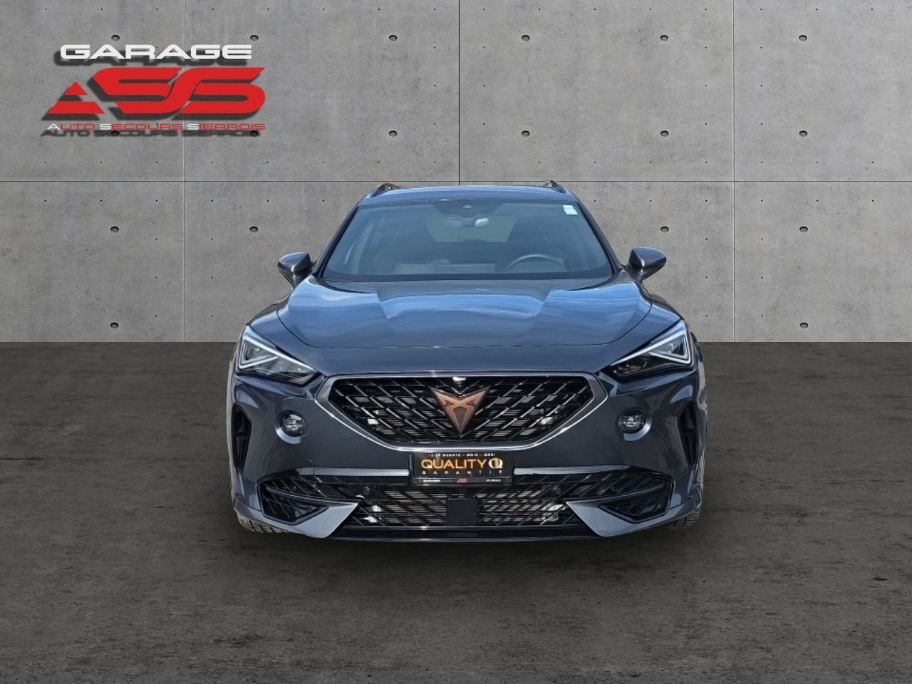 CUPRA Formentor 2.0TSI Tribe Edition 4Drive DSG-image-10
