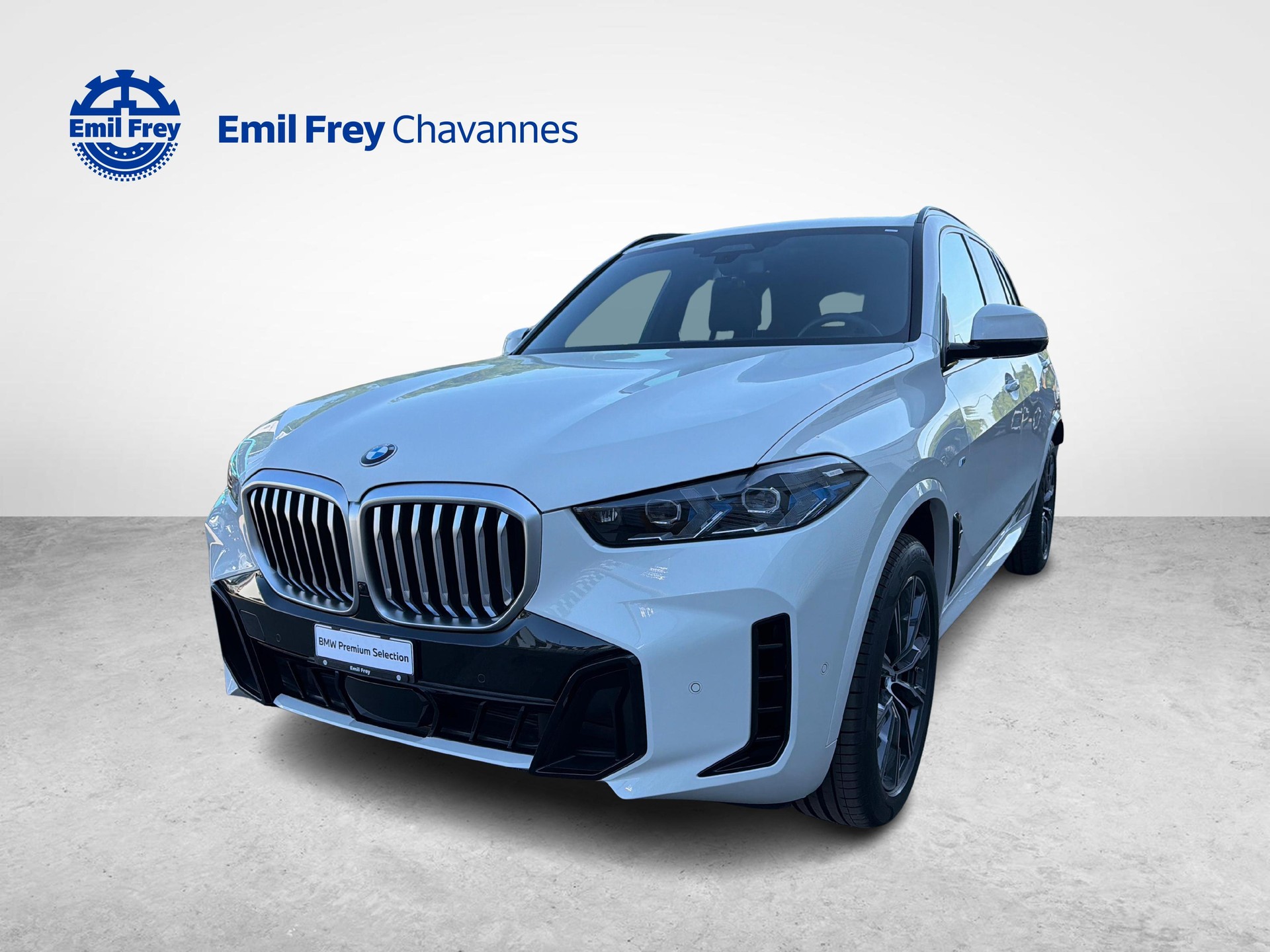 BMW X5 30d xDrive SAG M-Sport-showroom-element-1