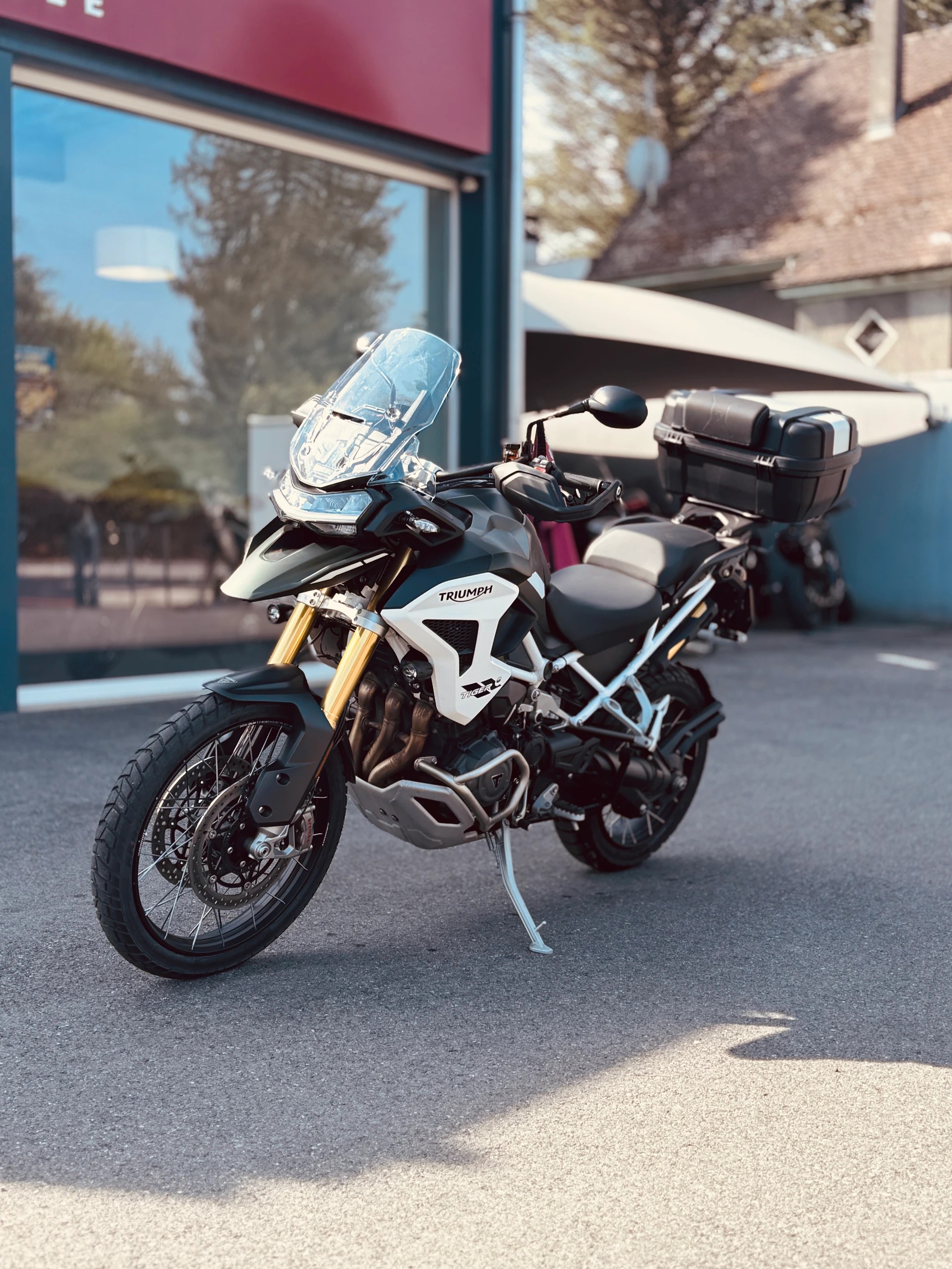 TRIUMPH Tiger 1200 Rally Pro-showroom-element-3