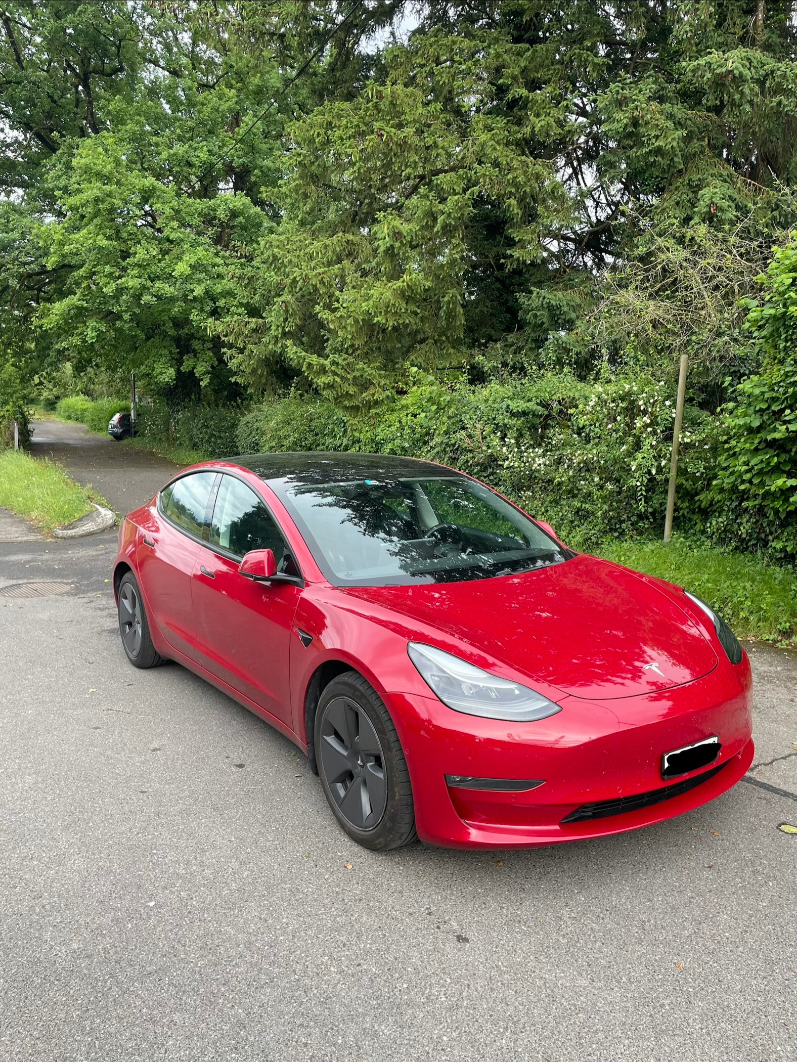 TESLA Long Range Dual Motor