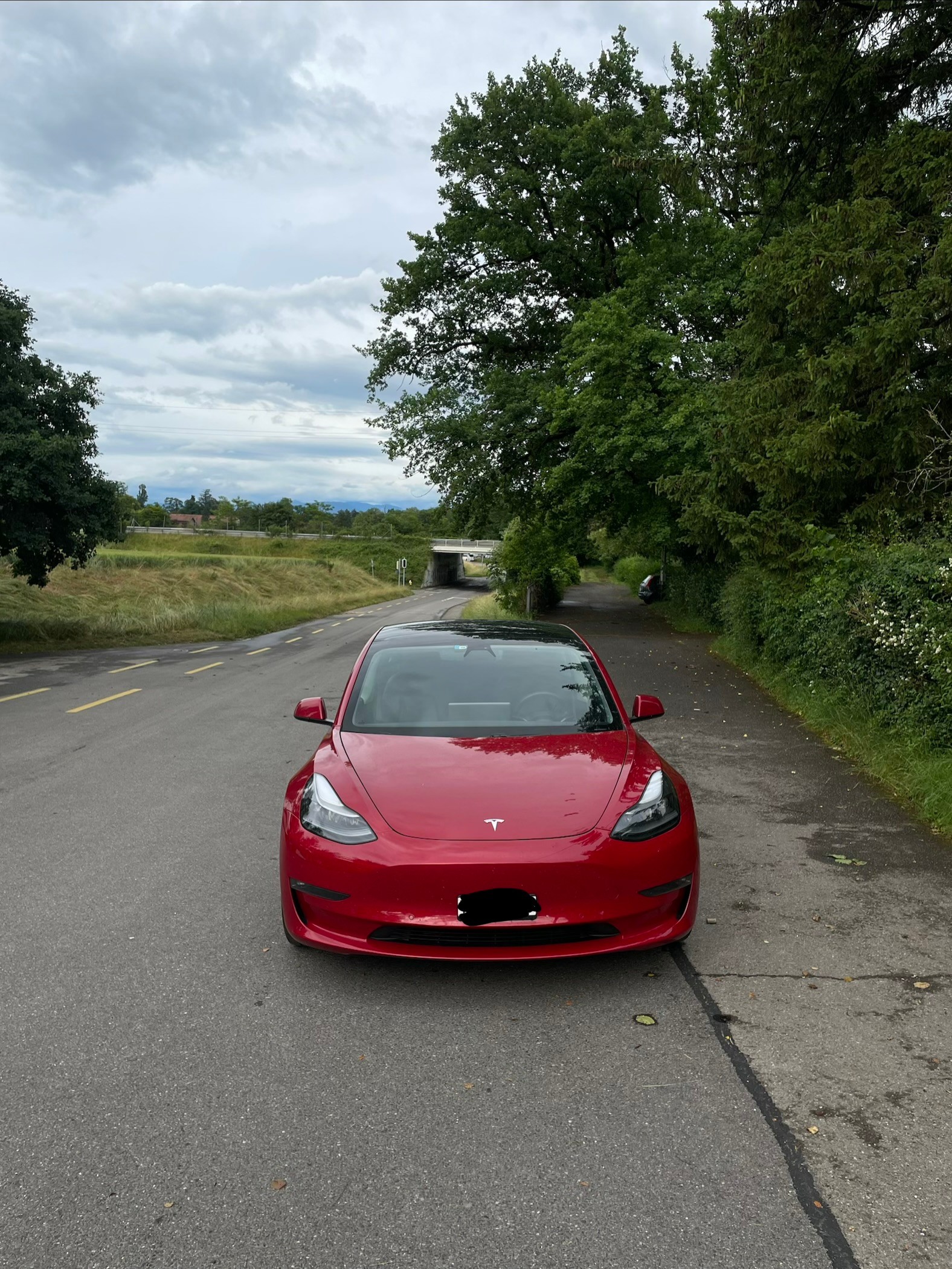 TESLA Long Range Dual Motor-image-2